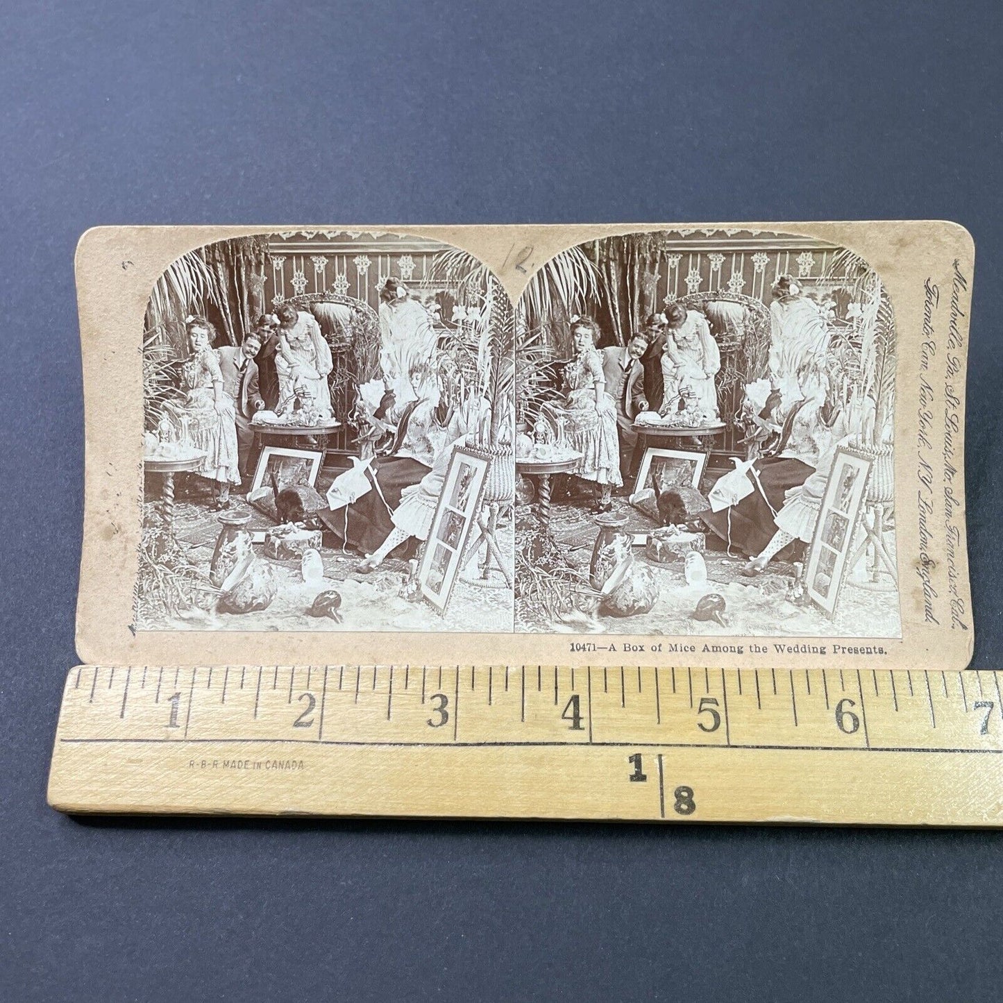 Antique 1897 A Box Of Mice Amongst Wedding Gifts Stereoview Photo Card P2959