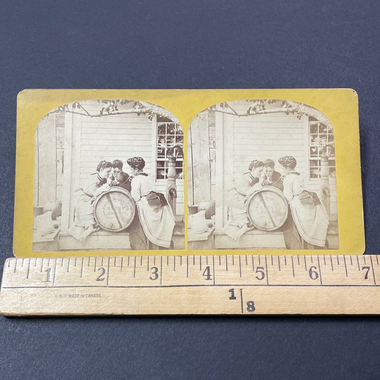 Antique 1872 Edwin Stone House Drinking Pig Fat Swanzey NH Stereoview Card V2109