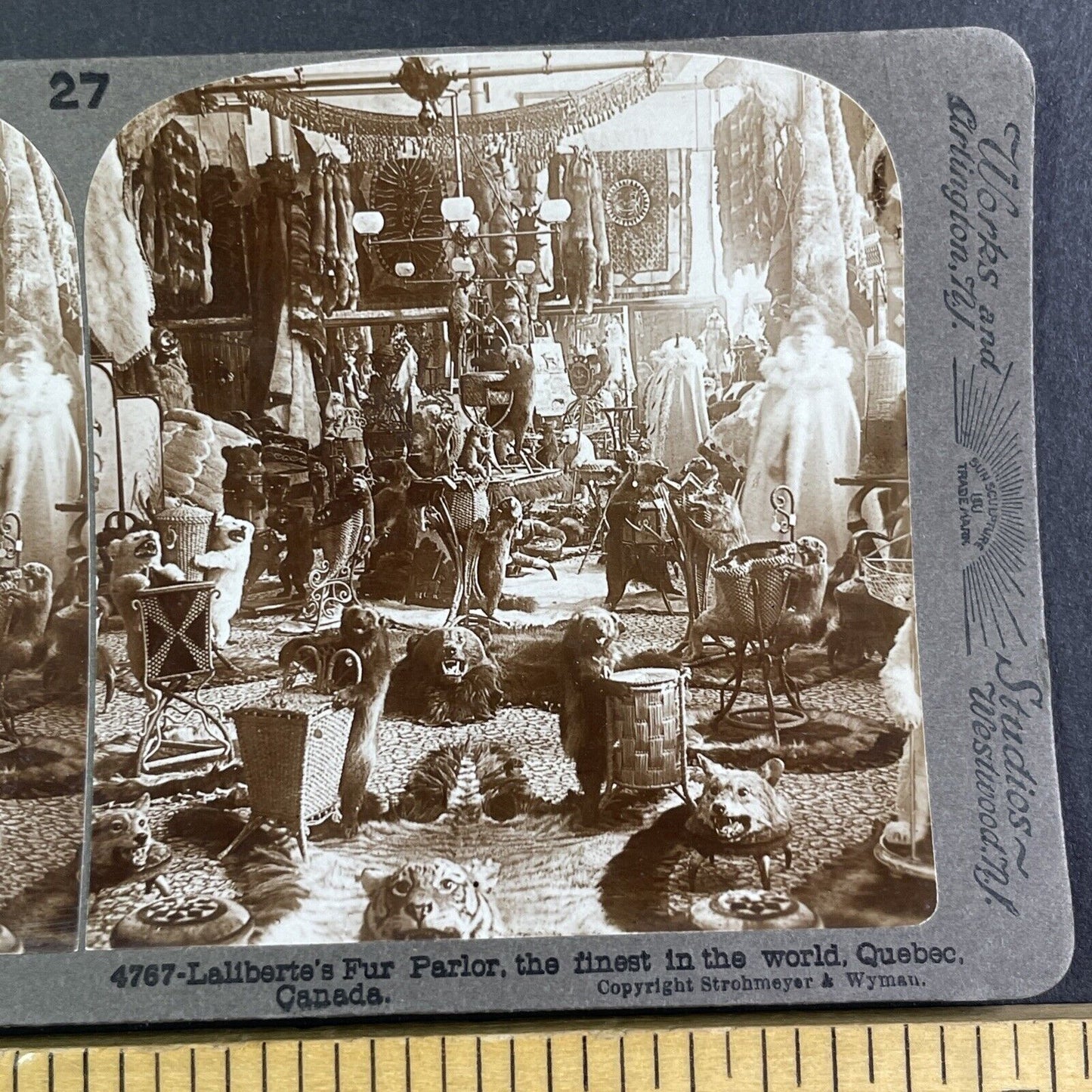 Laliberte Taxidermy and Fur Shop Stereoview Quebec Canada Antique c1899 Y2564