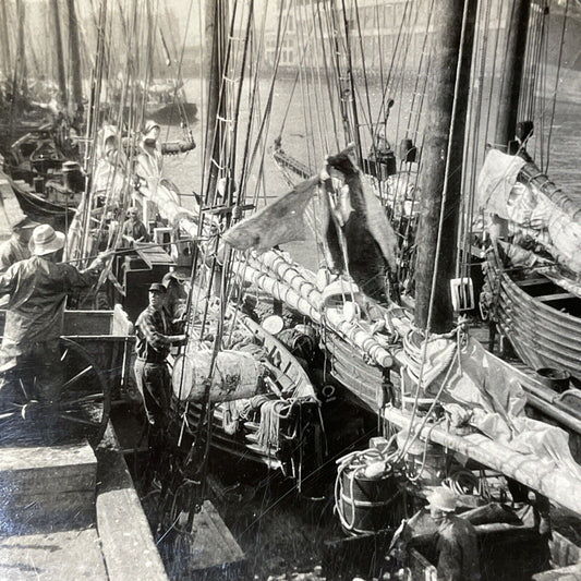 Antique 1920s Halibut Fishermen In Boston MA Stereoview Photo Card V2636