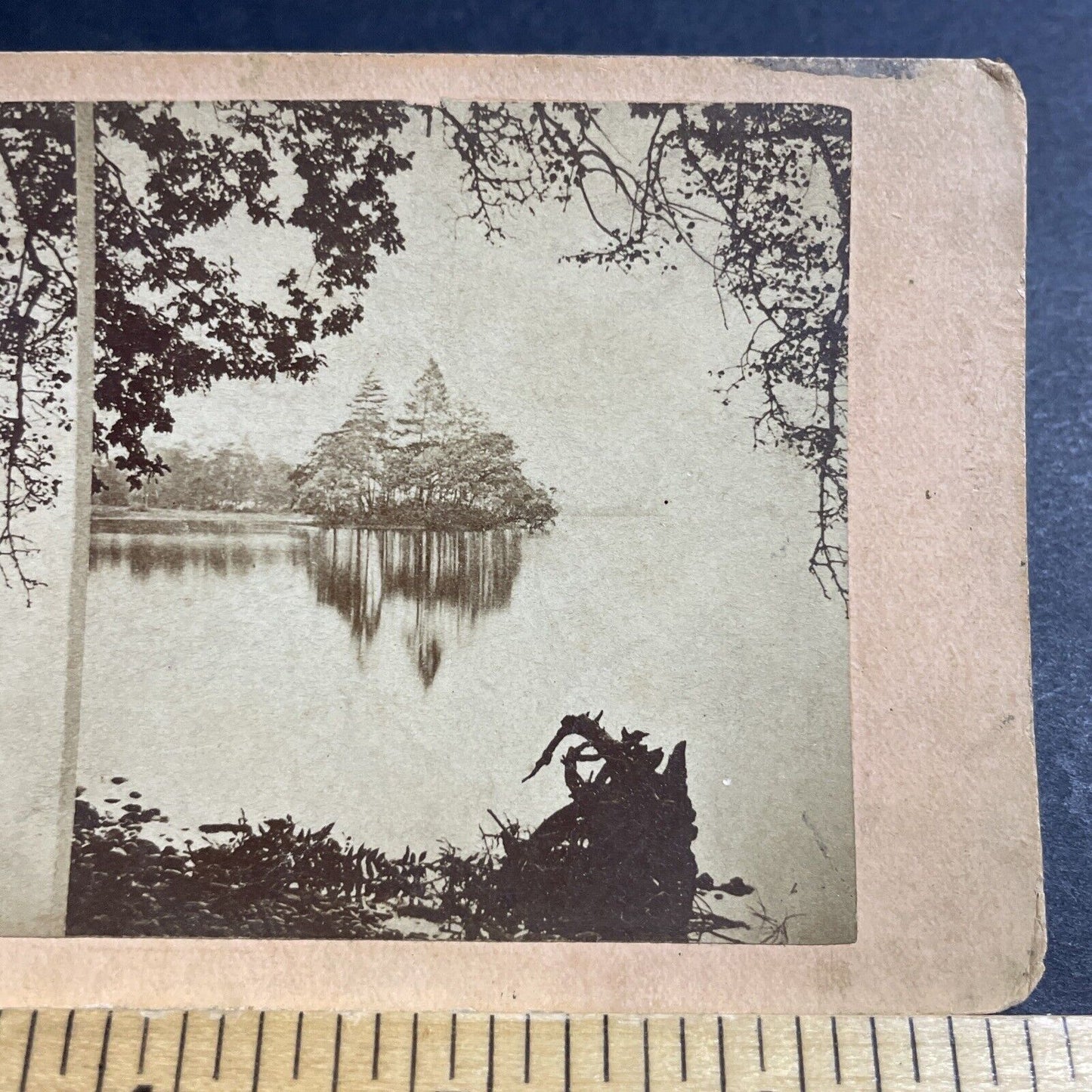 Antique 1890s Swan Island Loch Lomond Scotland Stereoview Photo Card P5564