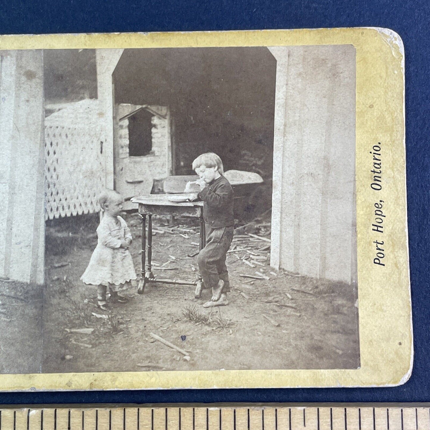 Farm Boy and Girl in Port Hope Ontario Stereoview Antique c1870 X4176