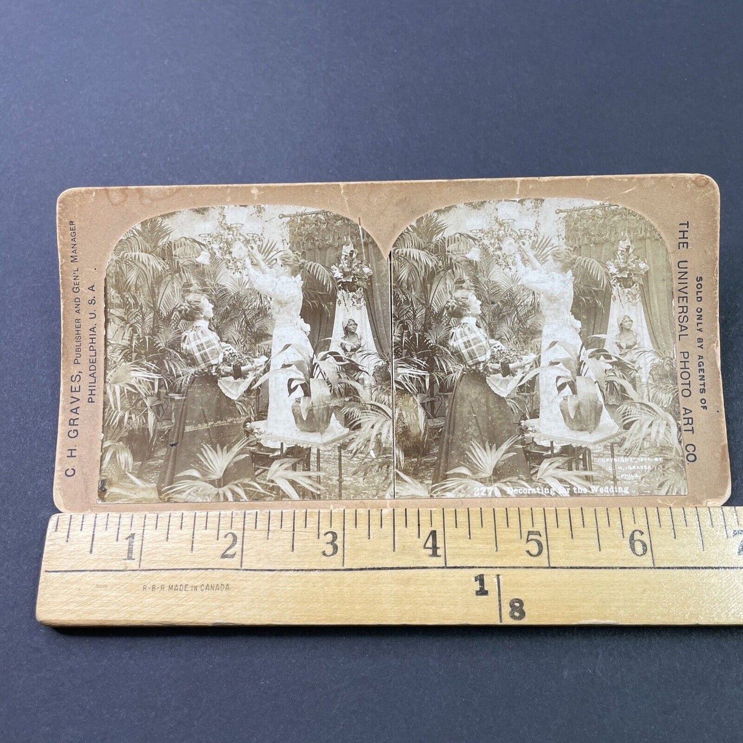 Antique 1897 Woman Decorates For Victorian Wedding Stereoview Photo Card P2940