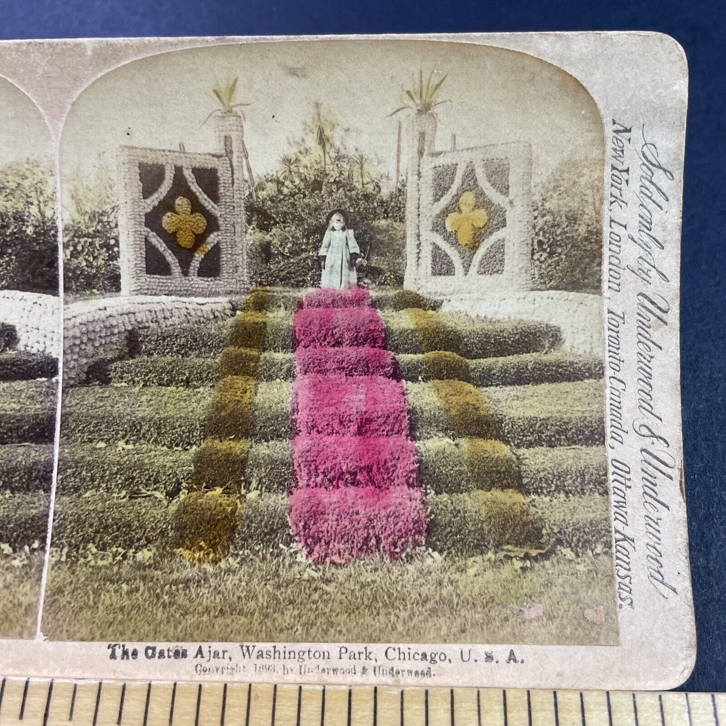 Antique 1893 Washington Park Chicago Illinois Stereoview Photo Card P3871