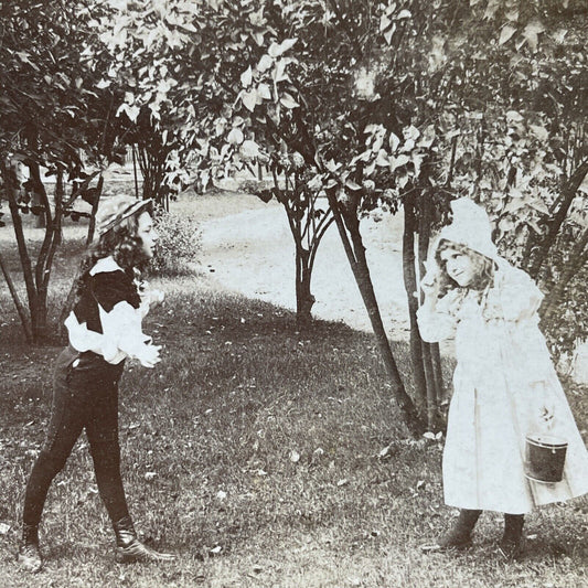 Antique 1893 Boy Throws Cherries At Girl Stereoview Photo Card P2716