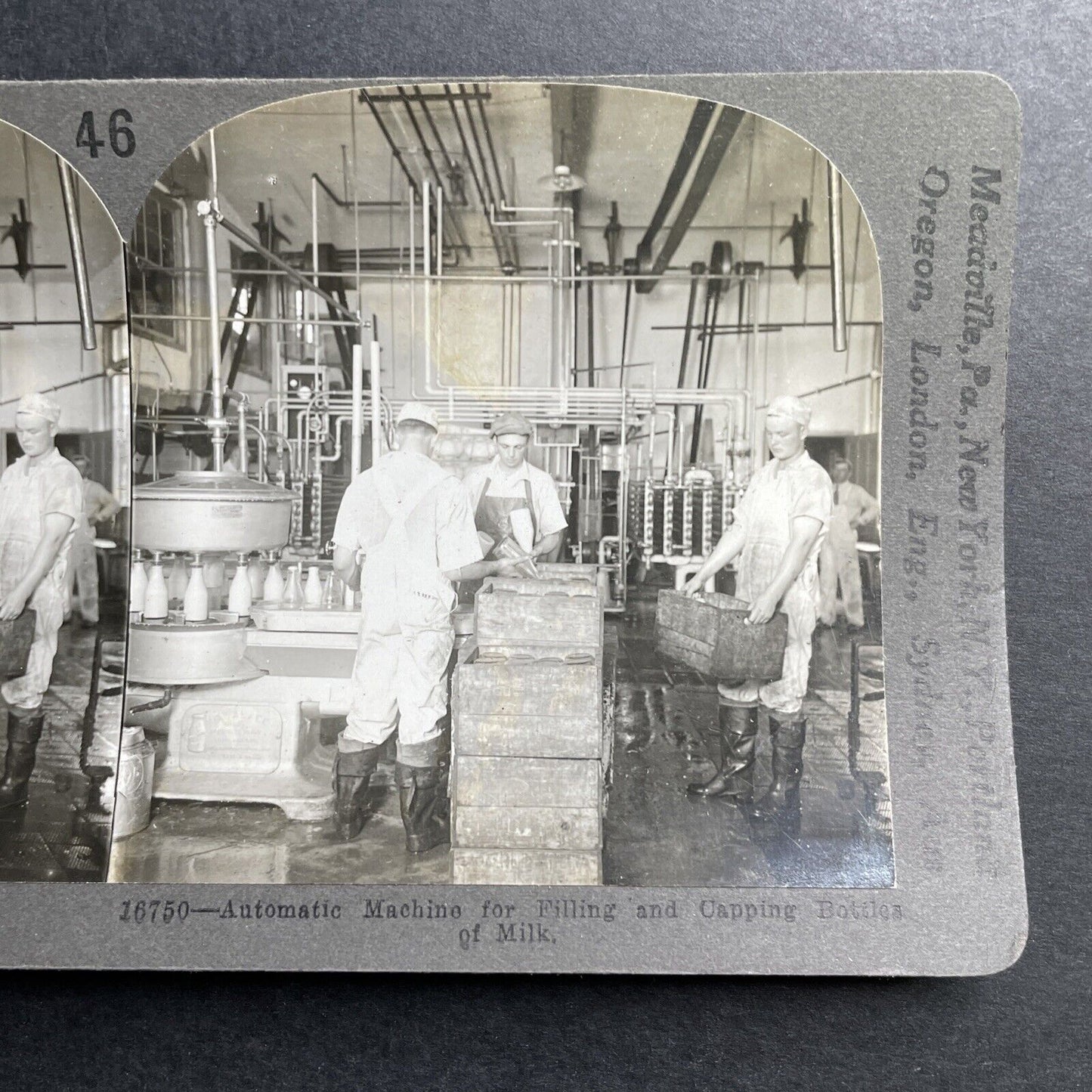 Antique 1920 Milk Bottling Factory Cohocton New York Stereoview Photo Card P1512