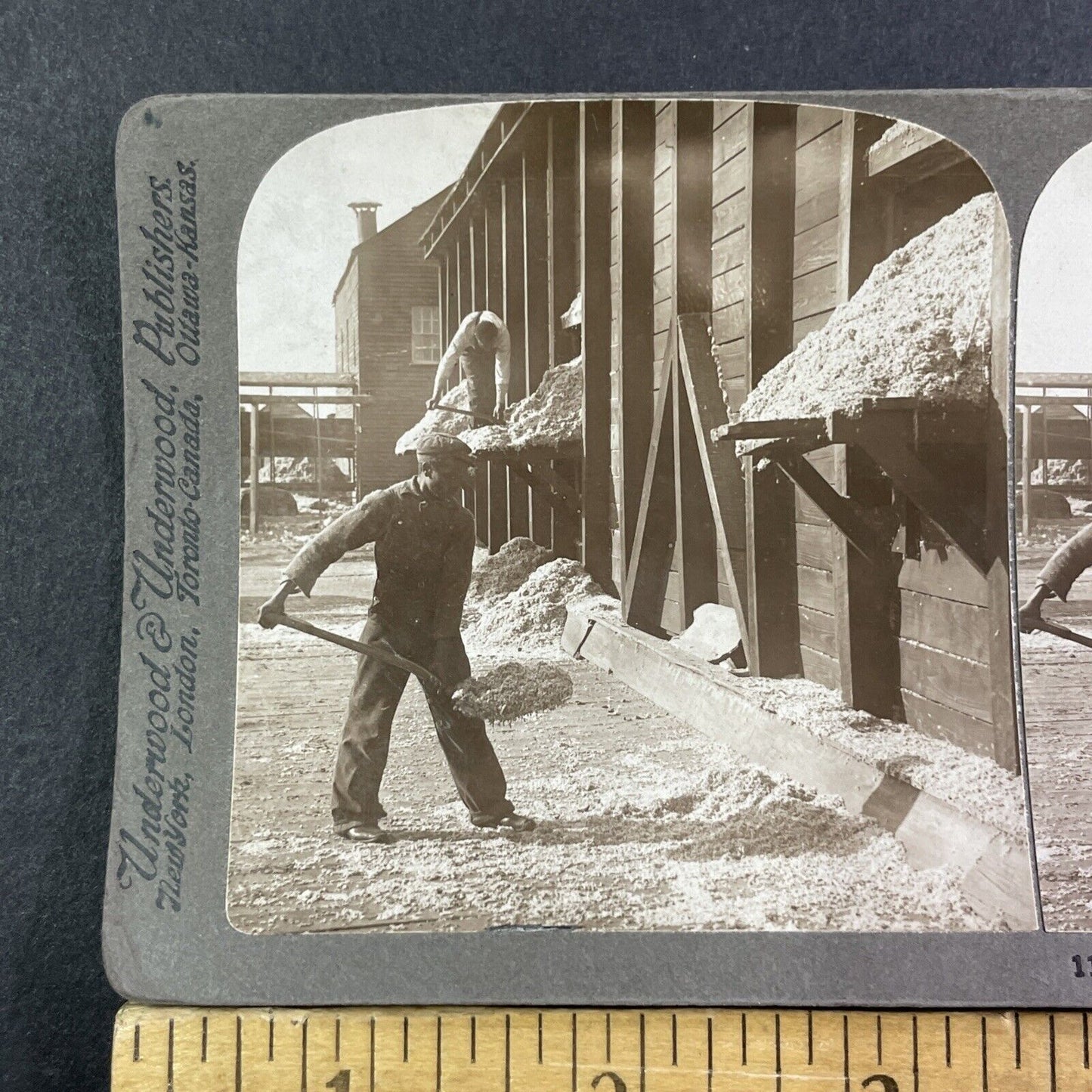 Teenage Cotton Mill Worker Shovels Seed Stereoview Georgia Antique c1909 X2609