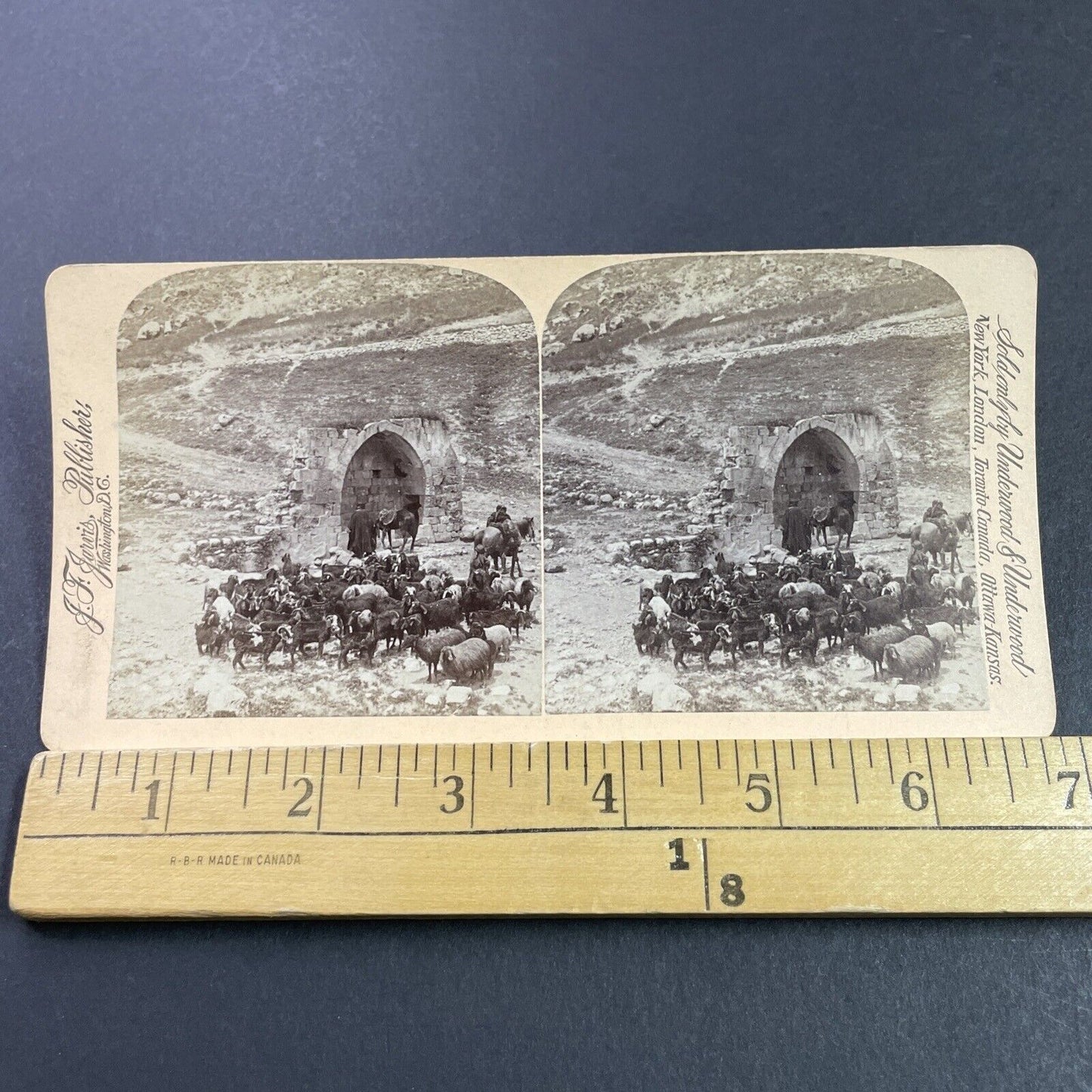 Antique 1896 Fountain Of The Apostles Jericho Israel Stereoview Photo Card P3889