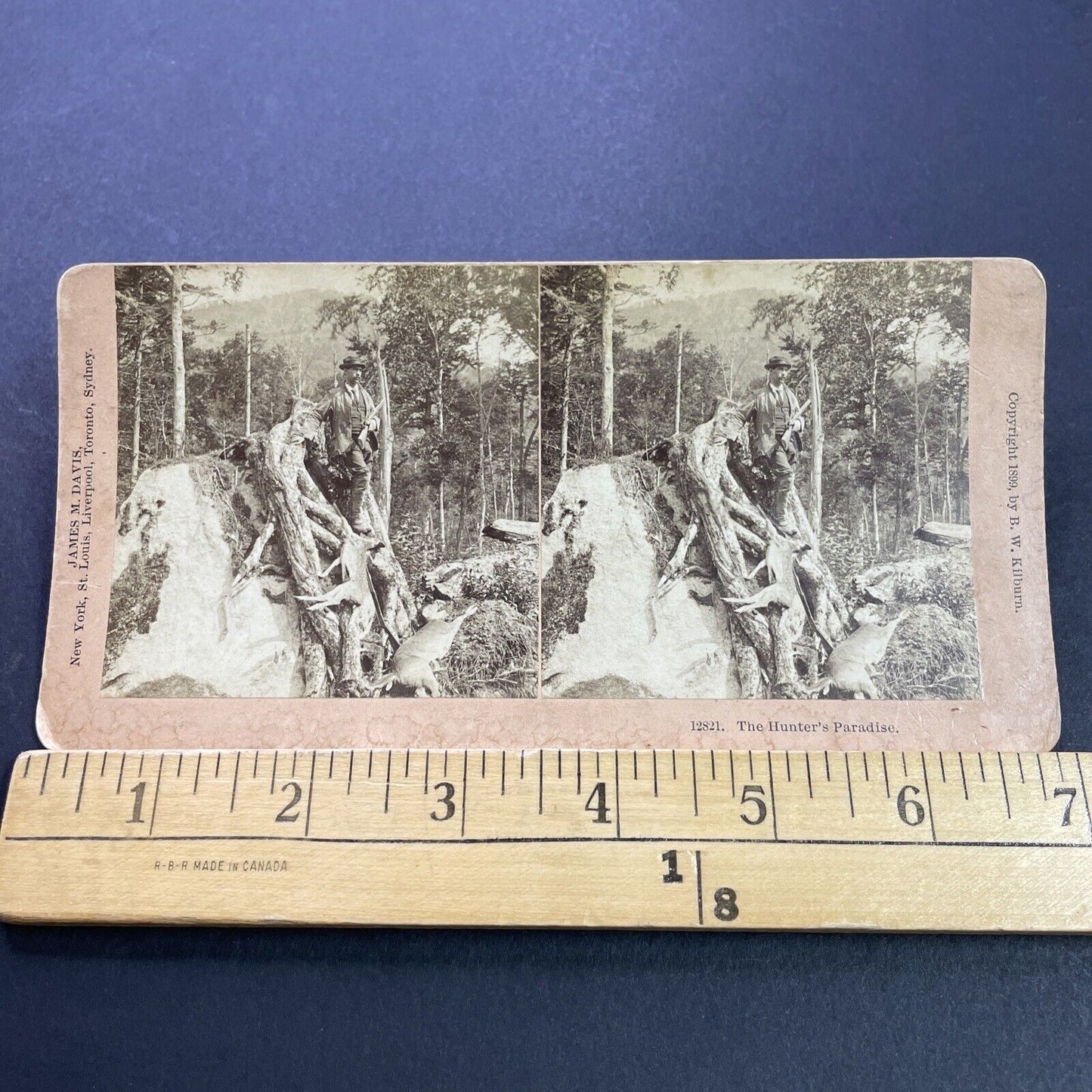 Antique 1899 Man Shoots Deer From Rock Blind Stereoview Photo Card P3510