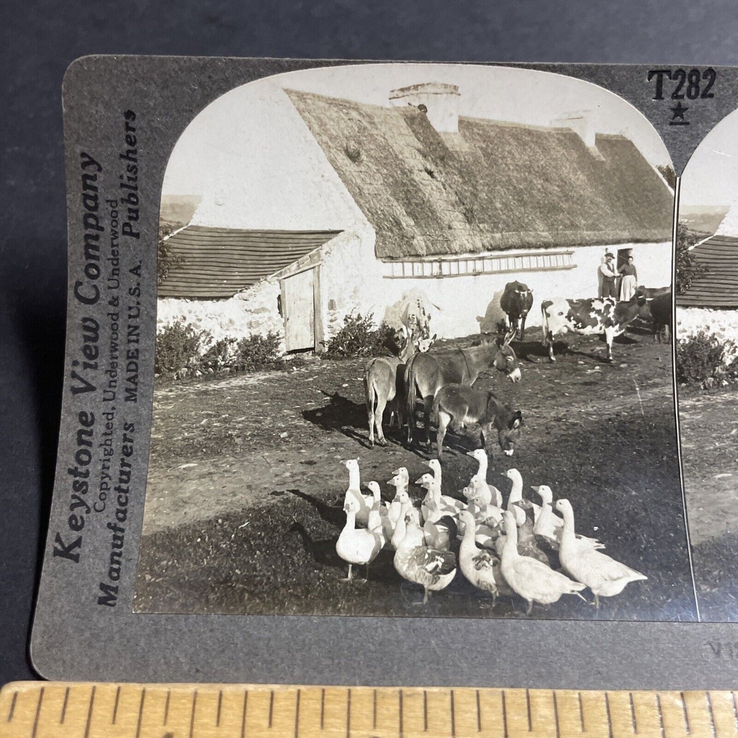 Antique 1910s Traditional Irish Farm Kerry Ireland Stereoview Photo Card P5109