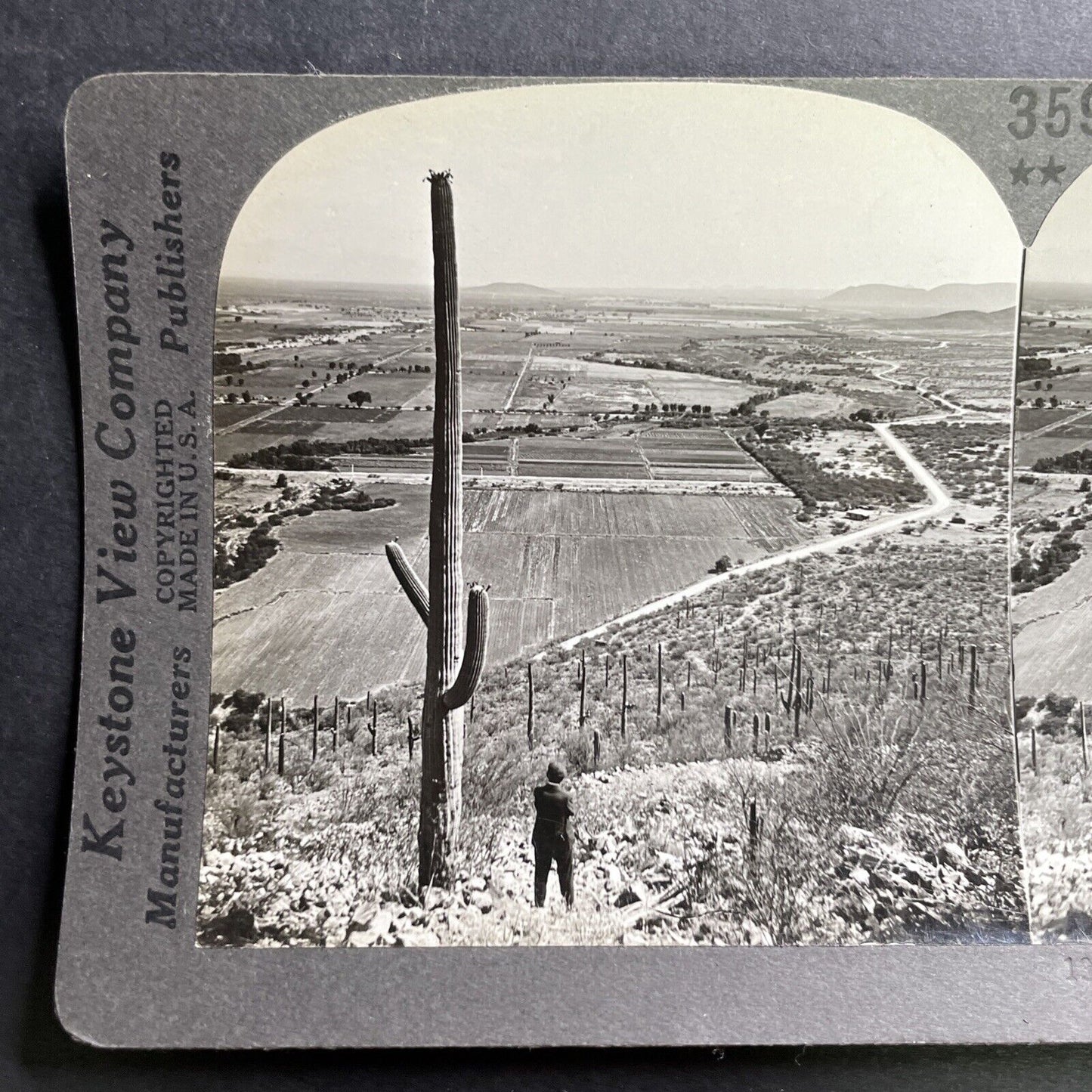 Antique 1918 Salt River Valley Cactus Arizona Stereoview Photo Card P1545