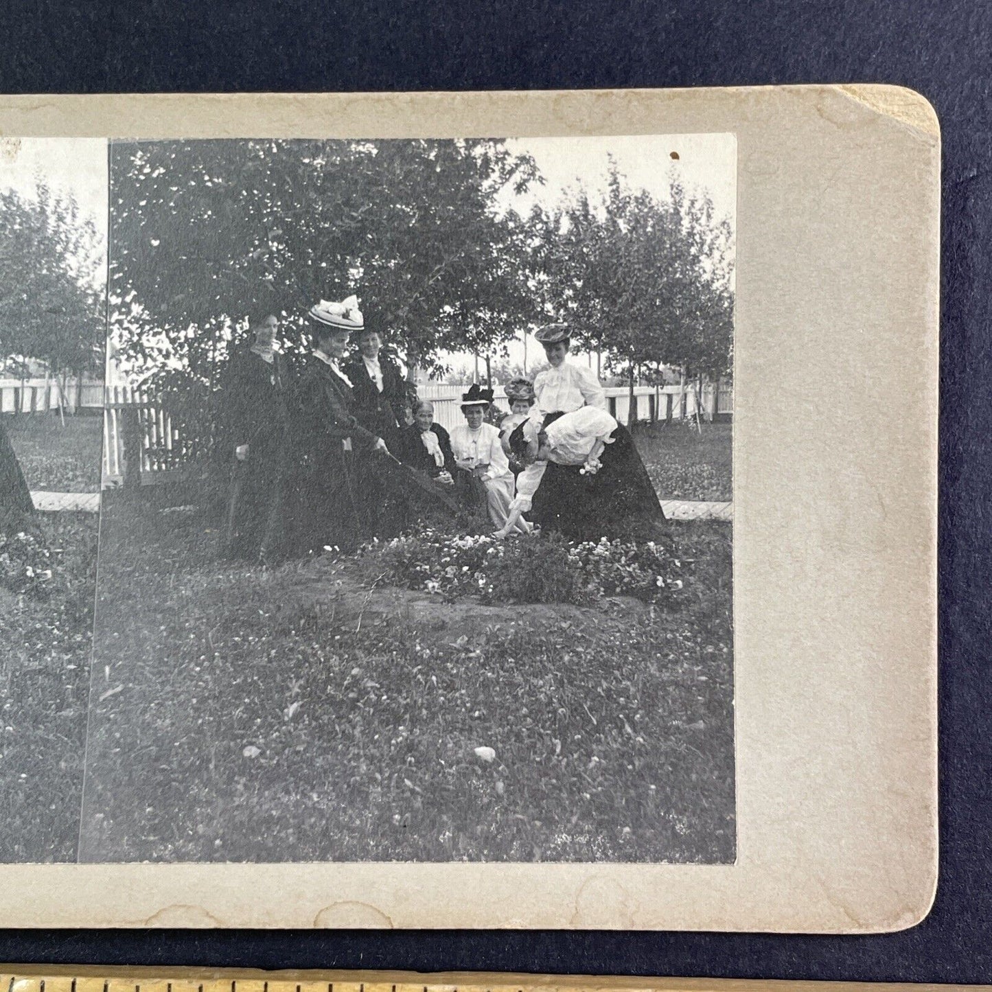 Lady Laura Borden Garden Photo Stereoview OOAK Antique c1908 Y2759