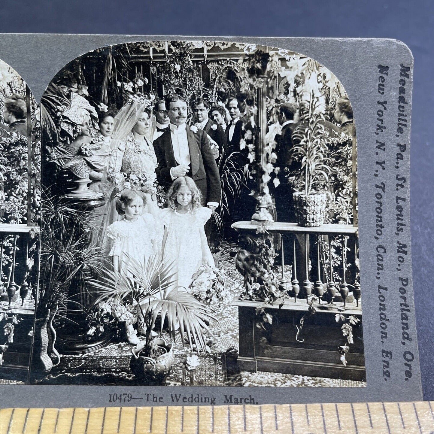 Antique 1901 Formal Wedding Attire In The 1900s Stereoview Photo Card P1933