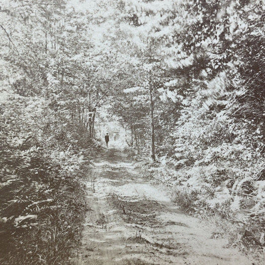 Antique 1870s Silent Way Looking North Keene NH Stereoview Photo Card V2094