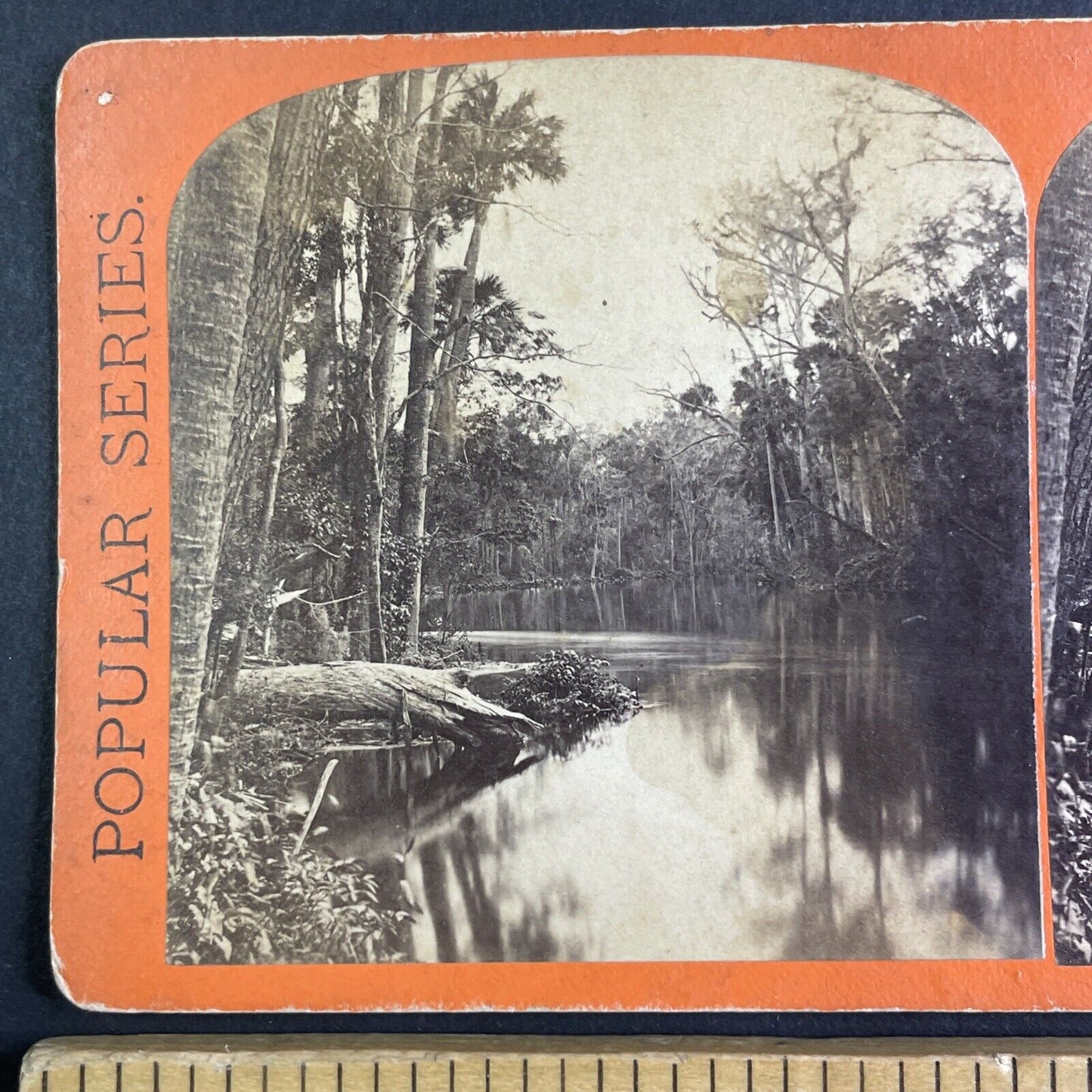 View from Sharpes Ferry Bridge Florida Stereoview E&HT Anthony c1869 X3858