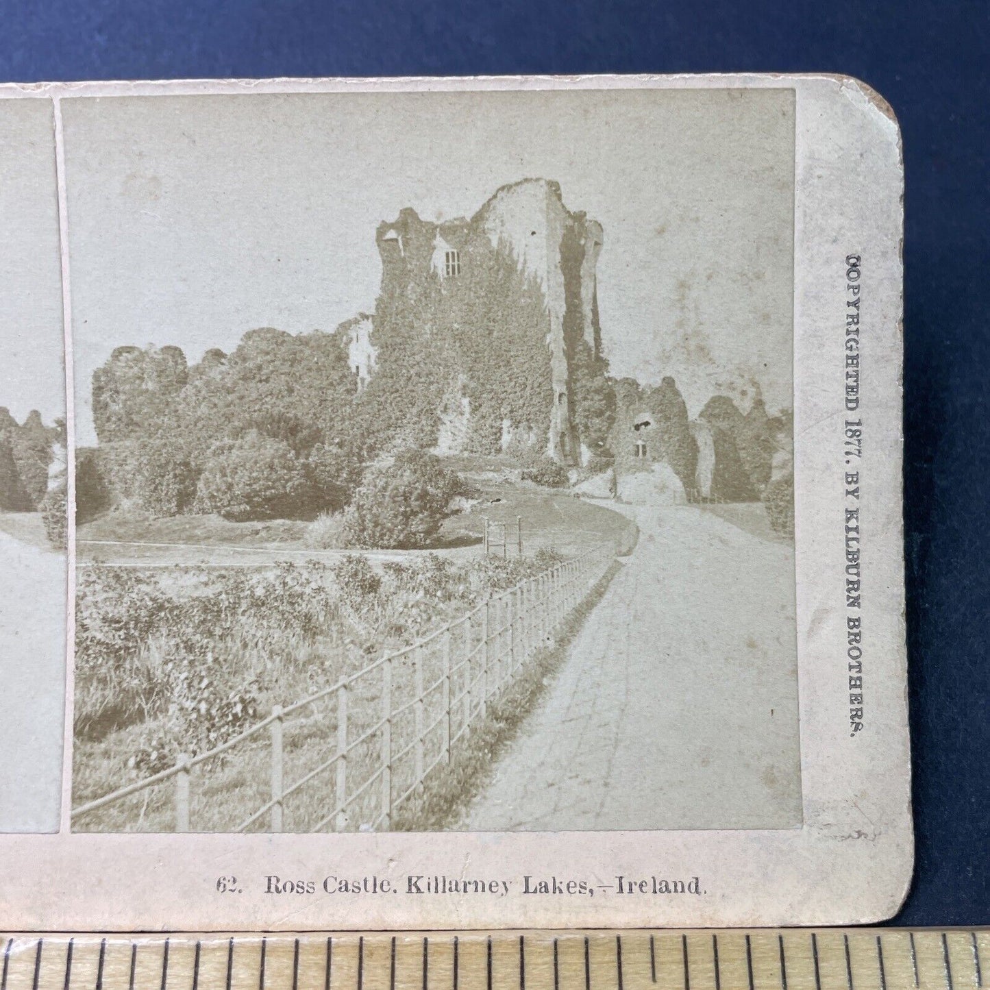 Antique 1877 Ross Castle Lakes Of Killarney Ireland Stereoview Photo Card P3031