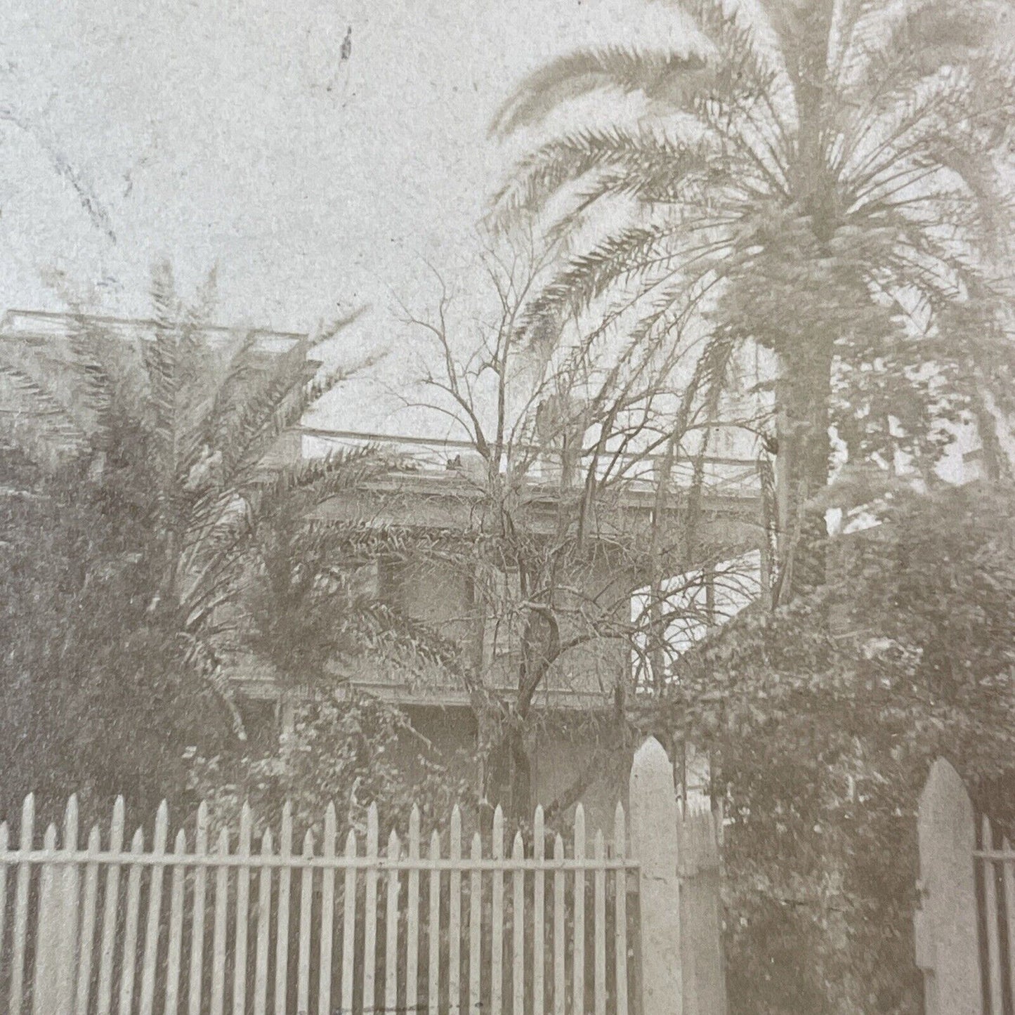 Dr. Oliver Bronson House St. Augustine FL Stereoview George Pierron c1875 Y046