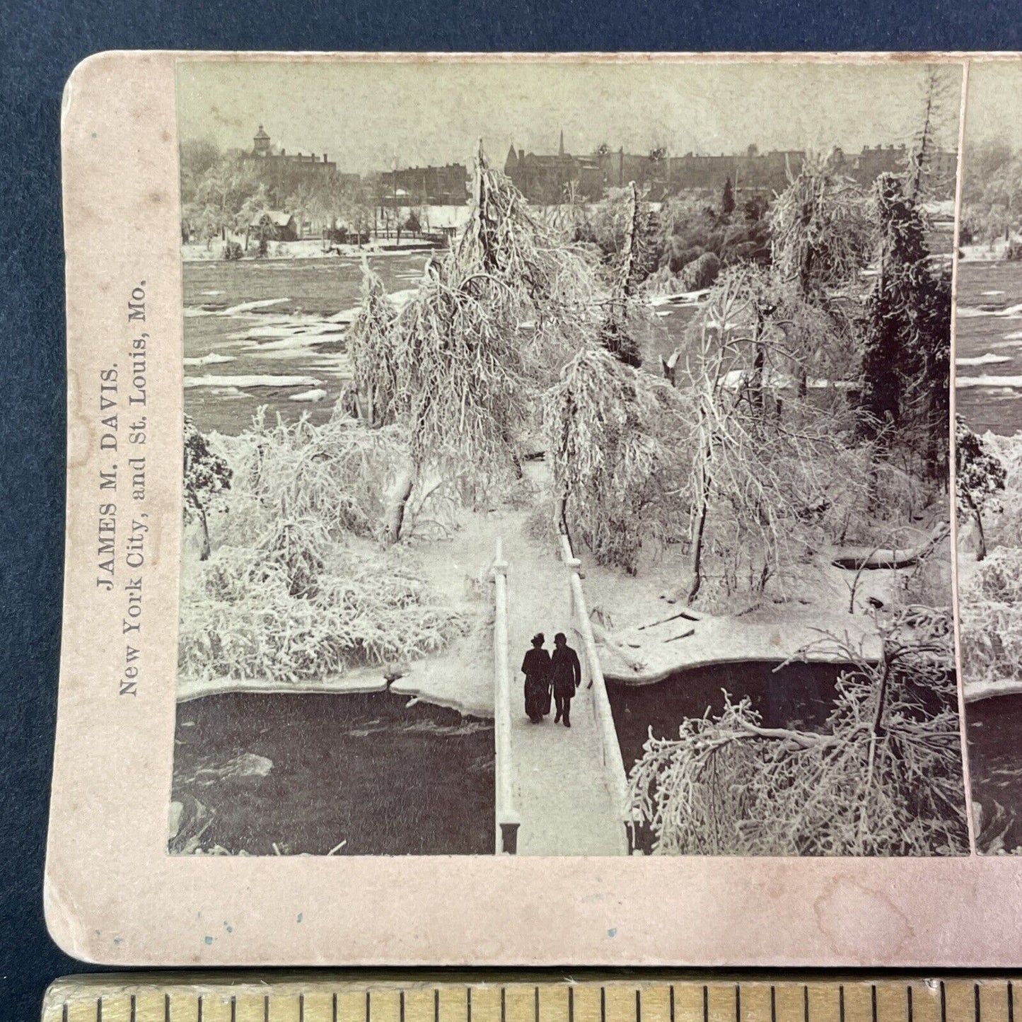 Pedestrian Bridge of Sighs Luna Island Stereoview Antique c1893 Y1862