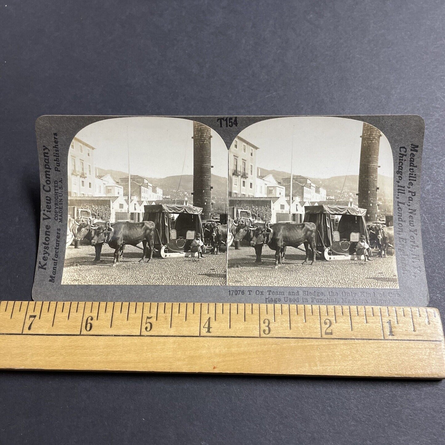 Antique 1910s Ox Oxen Taxi Sled Funchal Portugal Stereoview Photo Card P5059