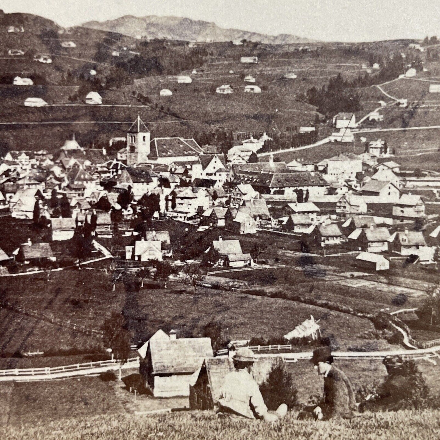 Antique 1870s Apenzell Switzerland Swiss Village Stereoview Photo Card P4033