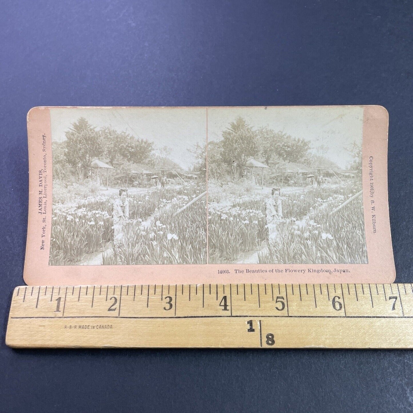 Antique 1901 Japanese Geisha In A Garden Japan Stereoview Photo Card P3845