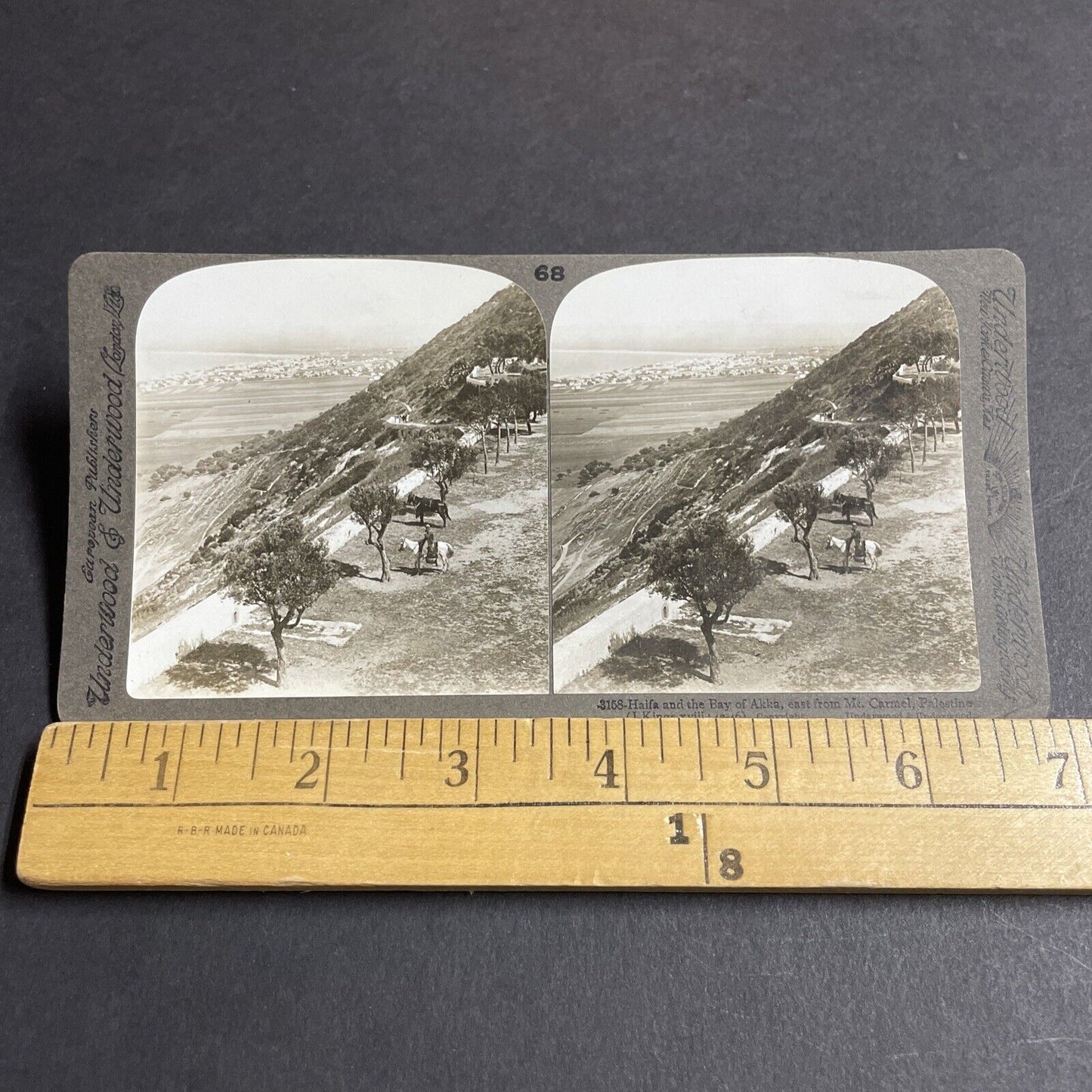 Antique 1910s Desert Man On Horseback Israel Stereoview Photo Card P4412