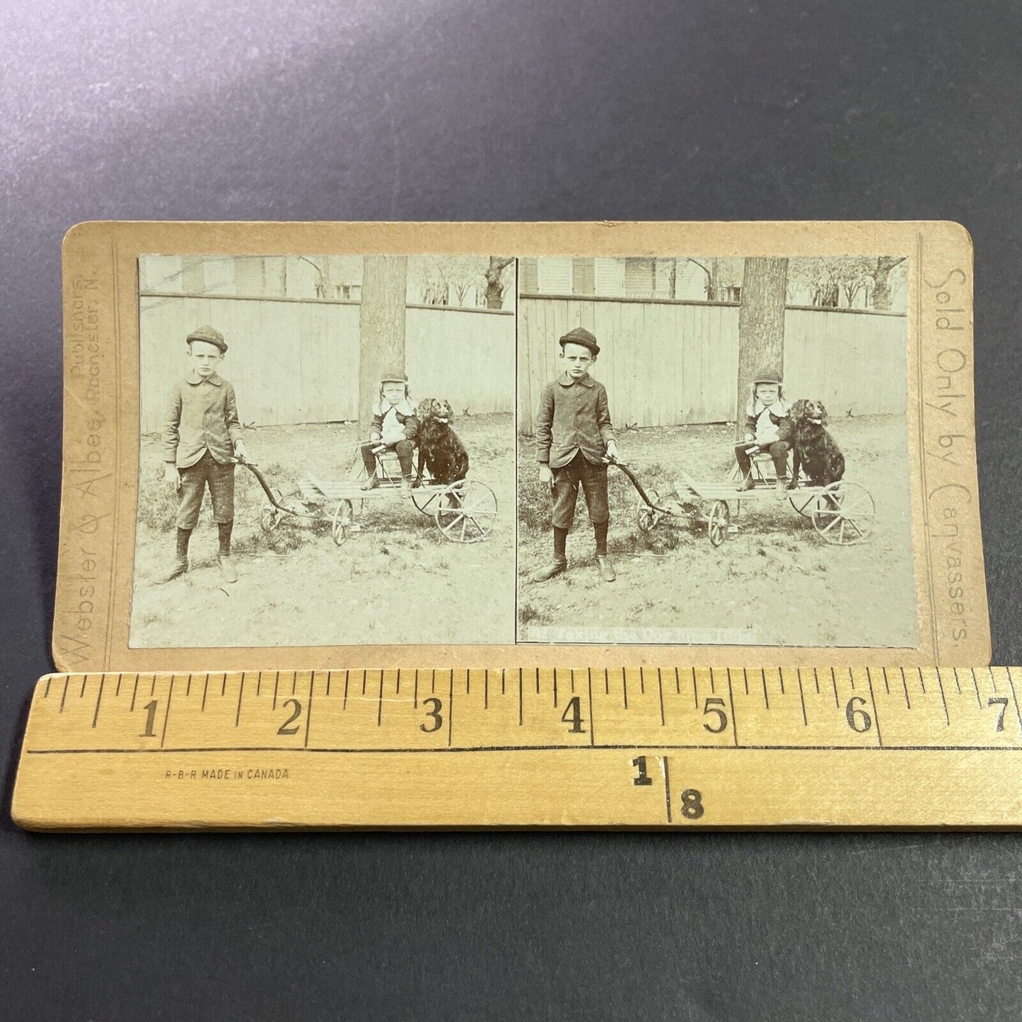 Antique 1870s Boy Pulling A Dog On A Cart Stereoview Photo Card P4043