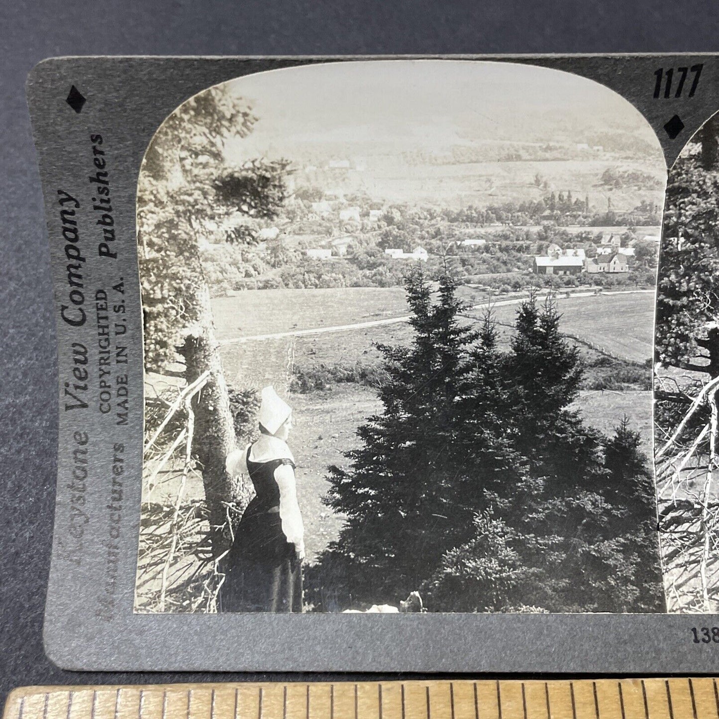 Antique 1910s Traditional Acadian Woman Nova Scotia Stereoview Photo Card V2623