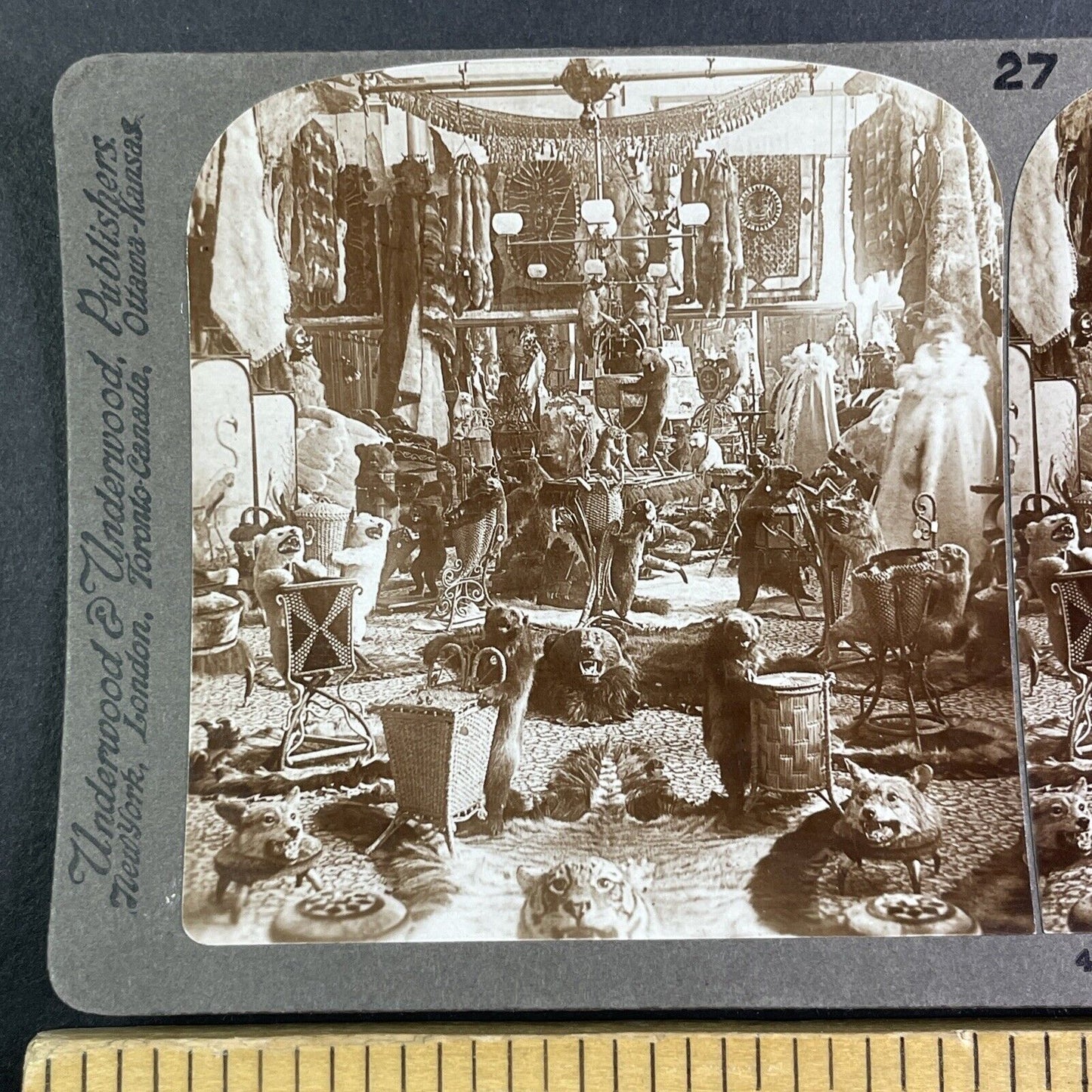 Laliberte Taxidermy and Fur Shop Stereoview Quebec Canada Antique c1899 Y2564