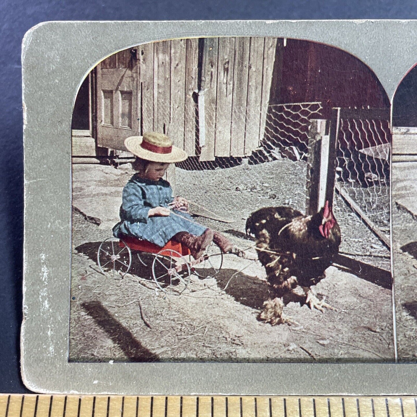 Antique 1905 A Chicken Drawn Carriage And Child Stereoview Photo Card Q2244