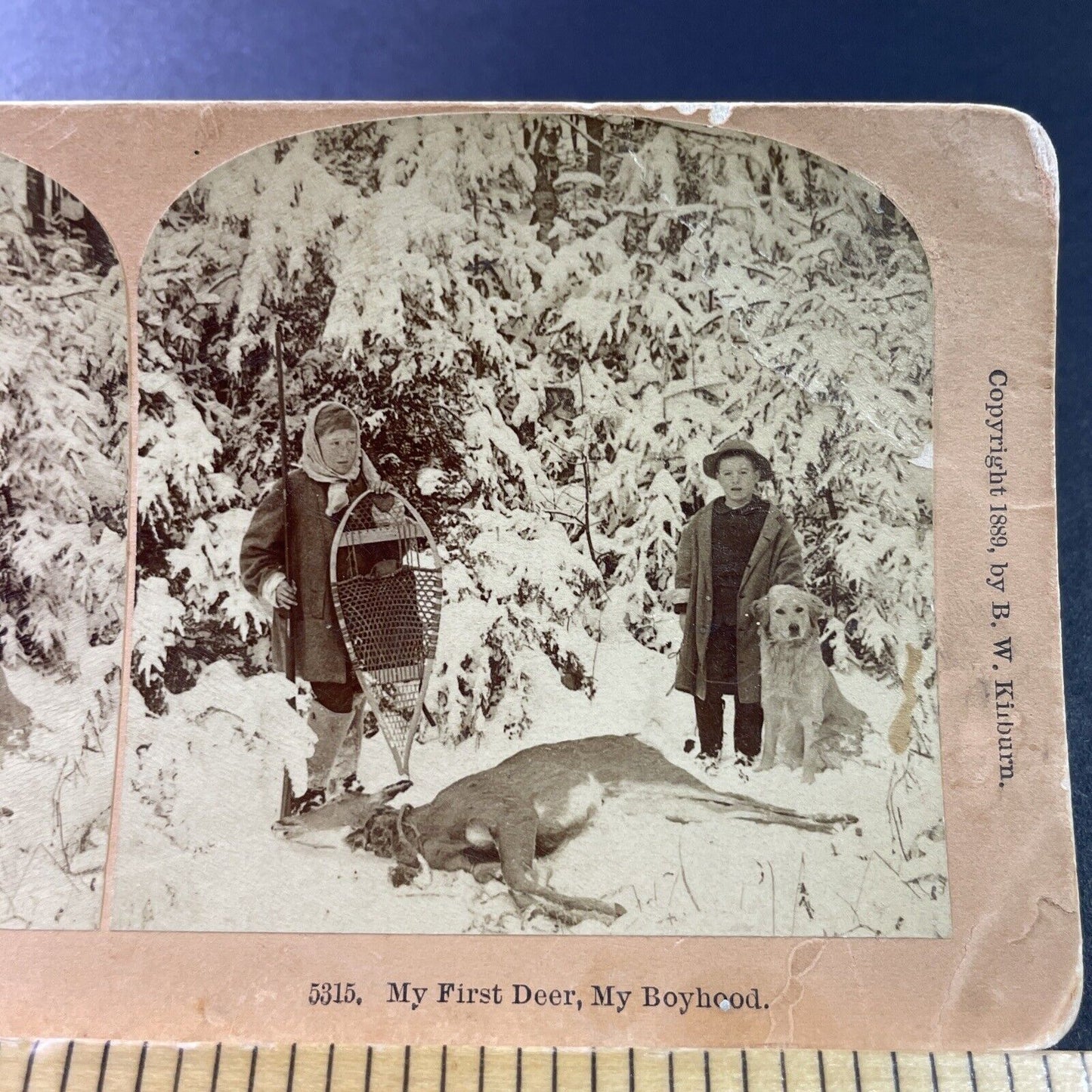 Antique 1889 Children Hunt And Kill A Deer Stereoview Photo Card P3307