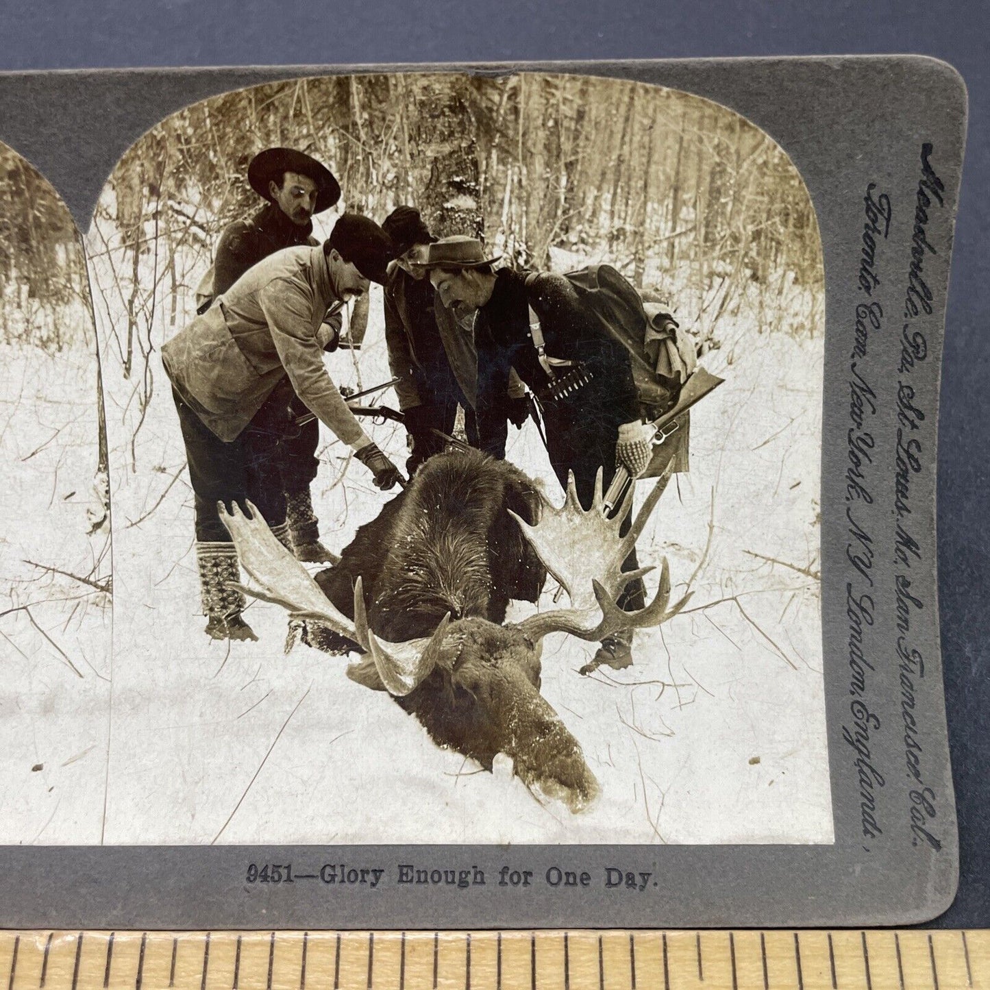 Antique 1899 Moose Hunting Presque Isle Maine Stereoview Photo Card P2666