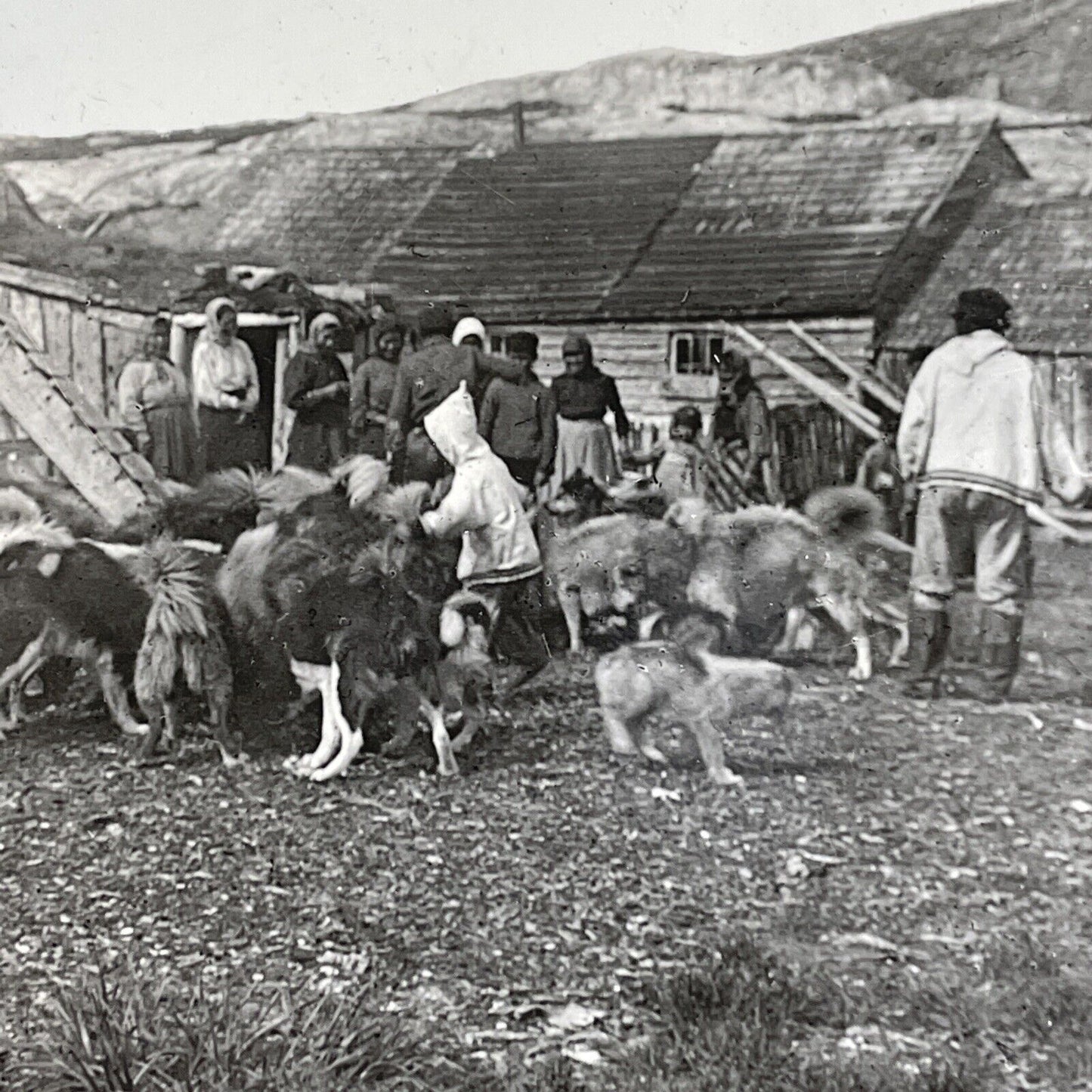 Antique 1905 Inuit Village In Hopedale Labrador Stereoview Photo Card P887