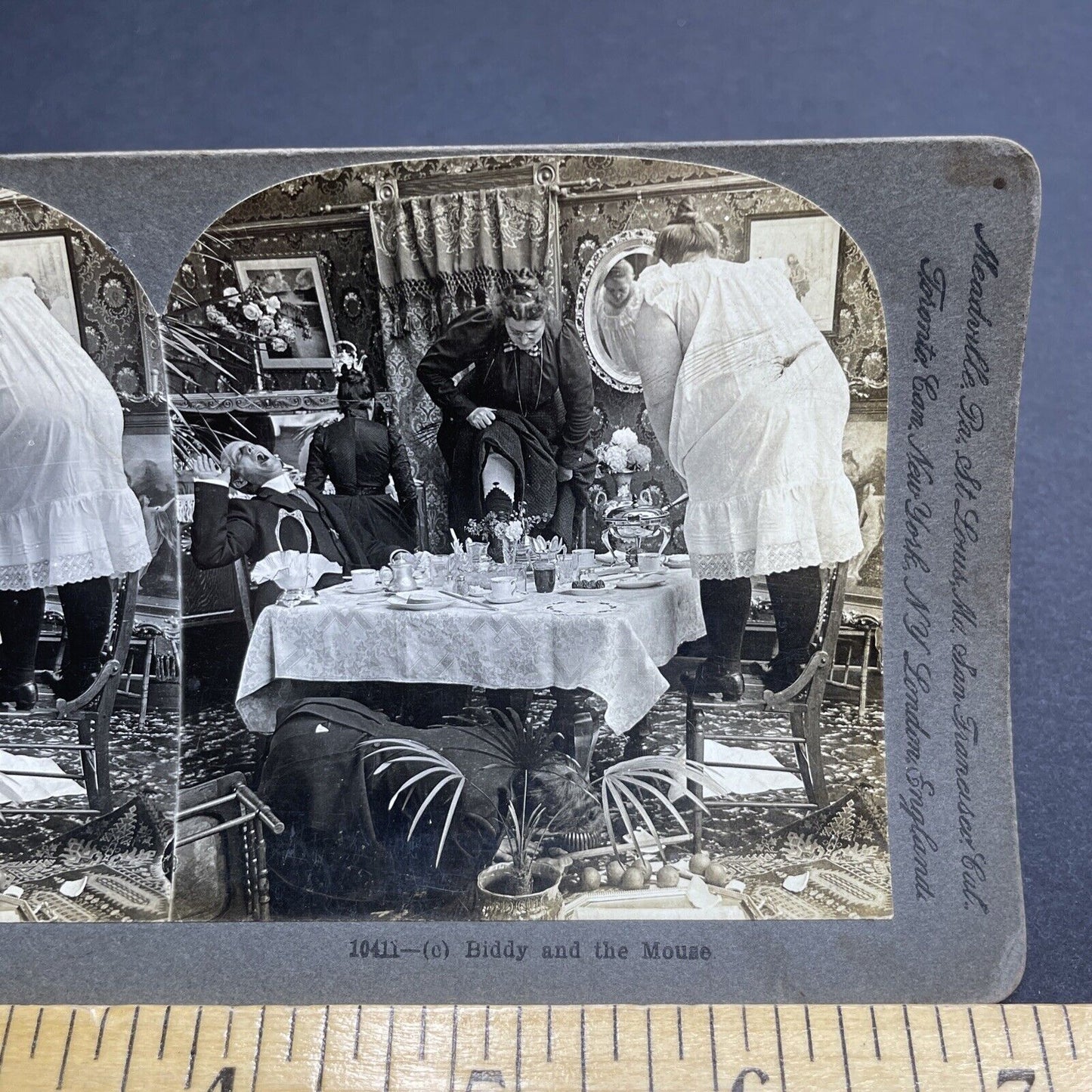 Antique 1900 Women Panic After Seeing A Mouse Stereoview Photo Card P1985