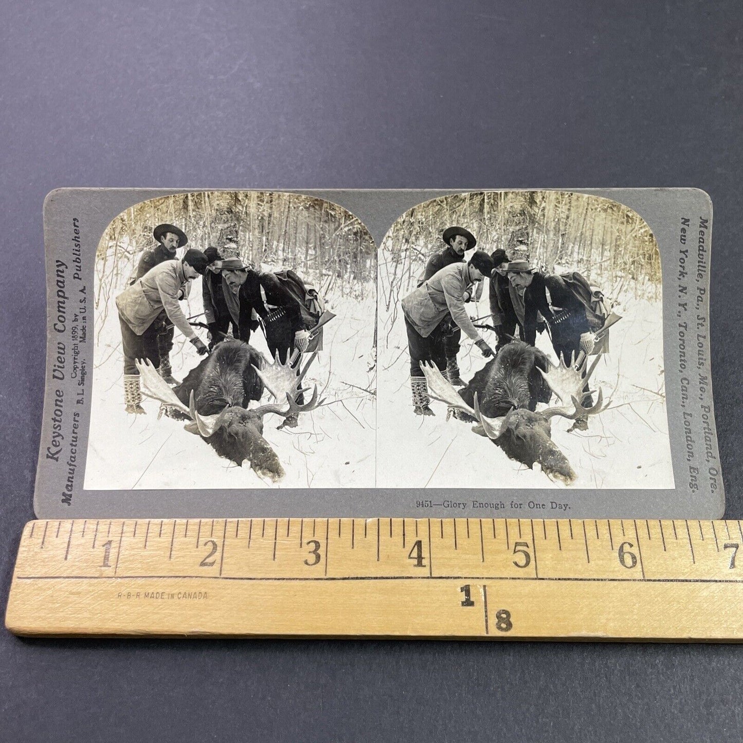 Antique 1899 Moose Hunting In Presque Isle Maine Stereoview Photo Card P3765