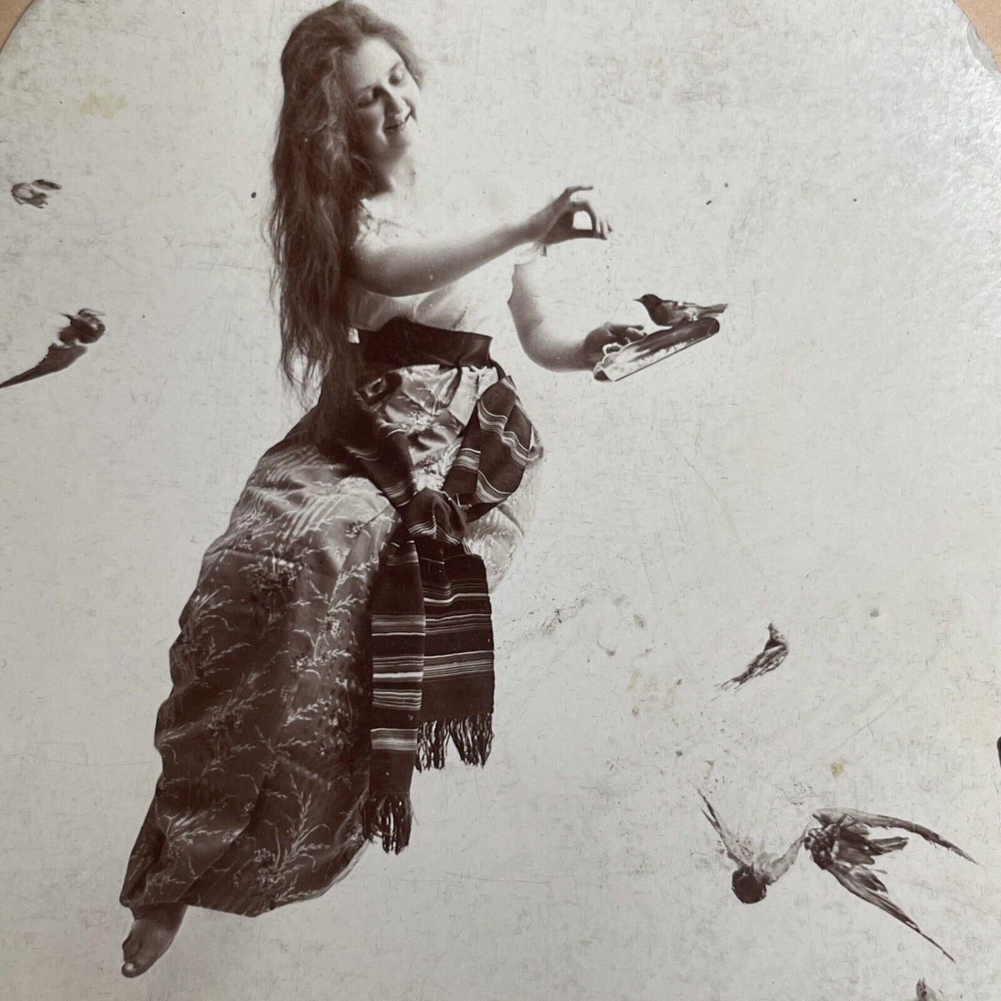 Antique 1900 Beauty Posing With Stuffed Birds Stereoview Photo Card PC784