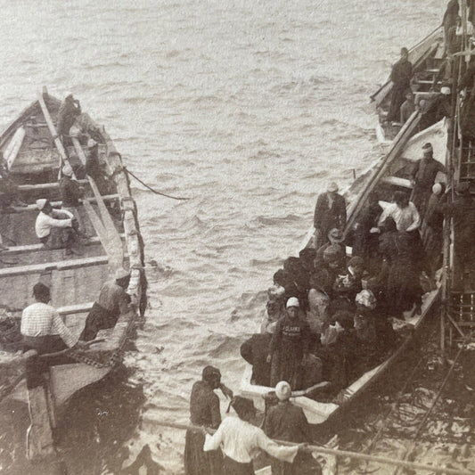 Antique 1909 Boarding Ships To Jaffa Tel-Aviv Stereoview Photo Card P1004