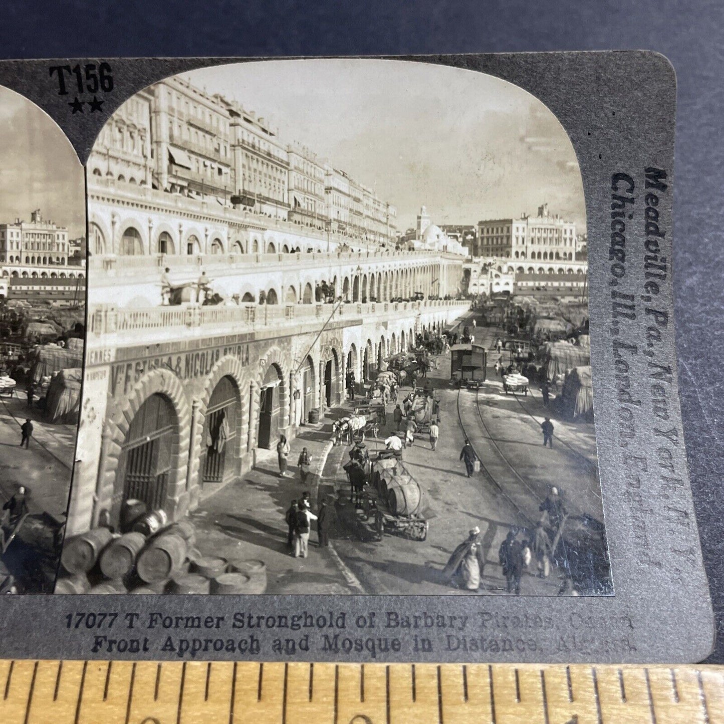 Antique 1910s Algiers Algeria City View Stereoview Photo Card P5058