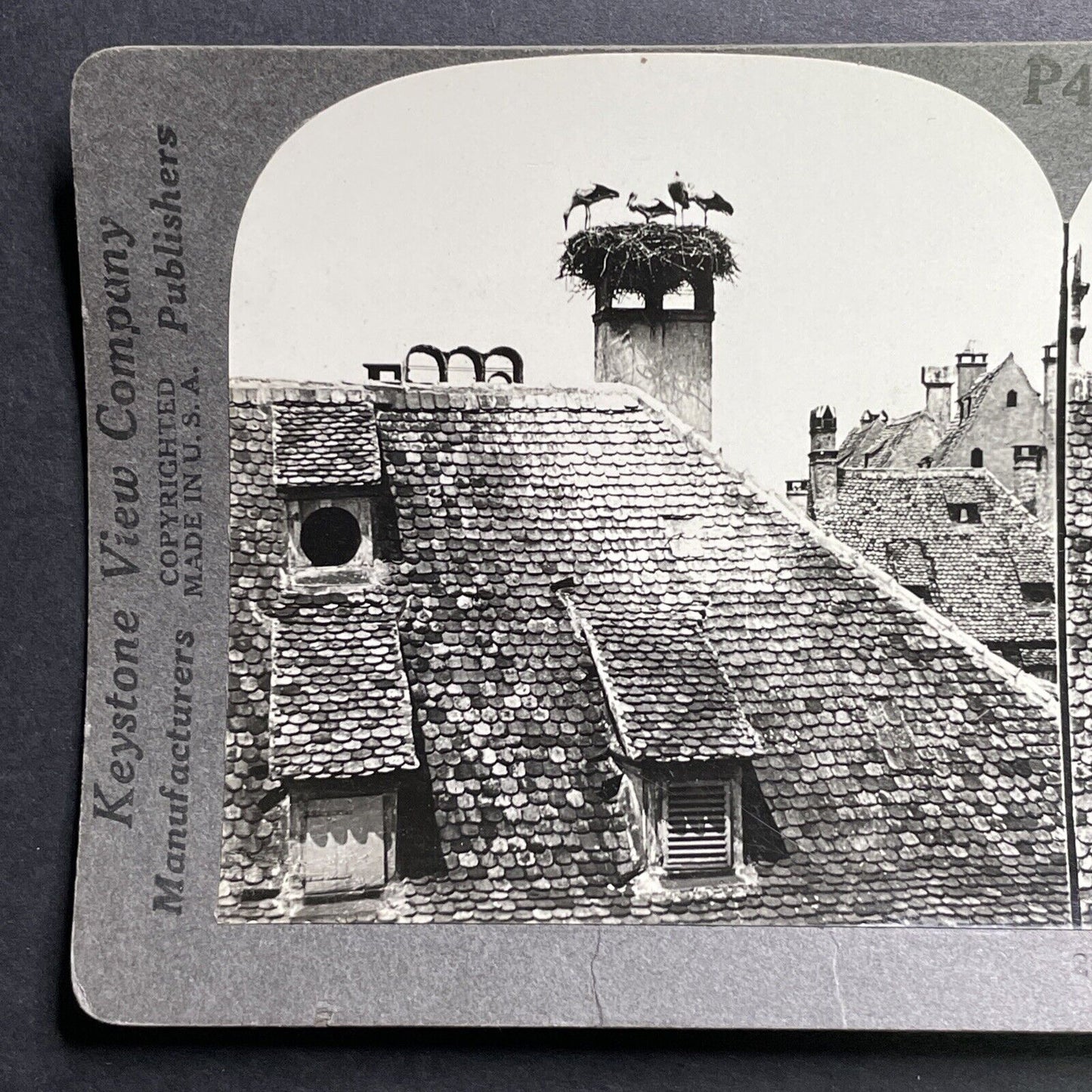 Antique 1913 Stork Nest On Chimney Strasbourg France Stereoview Photo Card P1322