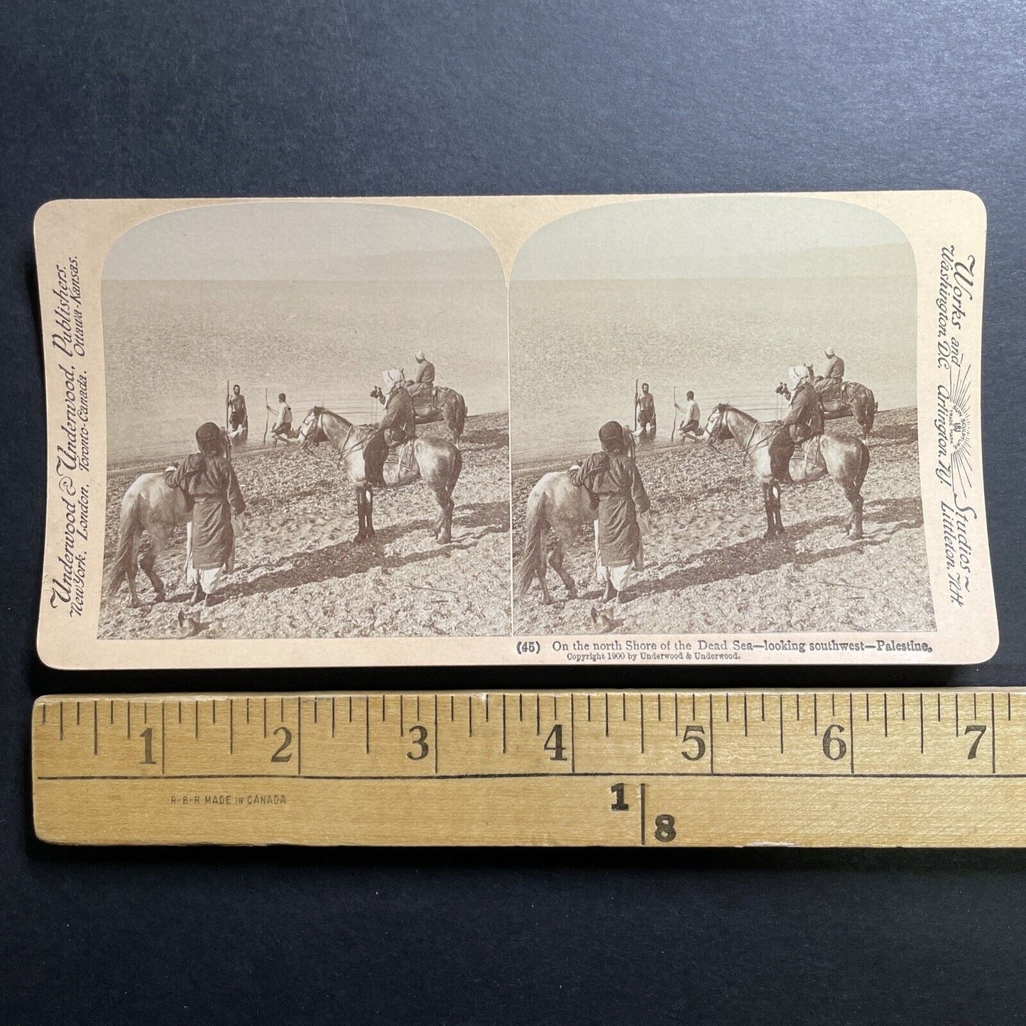 Antique 1900 Horseman On The Shore Of The Dead Sea Stereoview Photo Card P1389