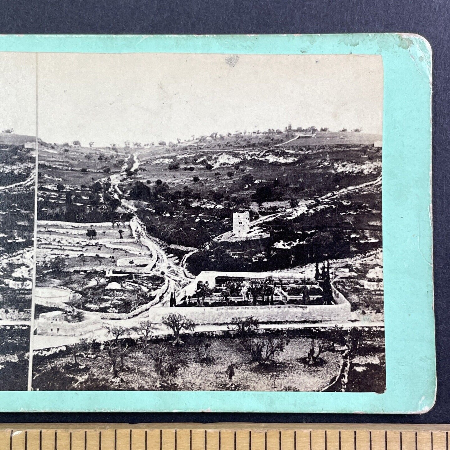 Garden of Gethsemane Israel Palestine Stereoview Salt Print c1860 Y455