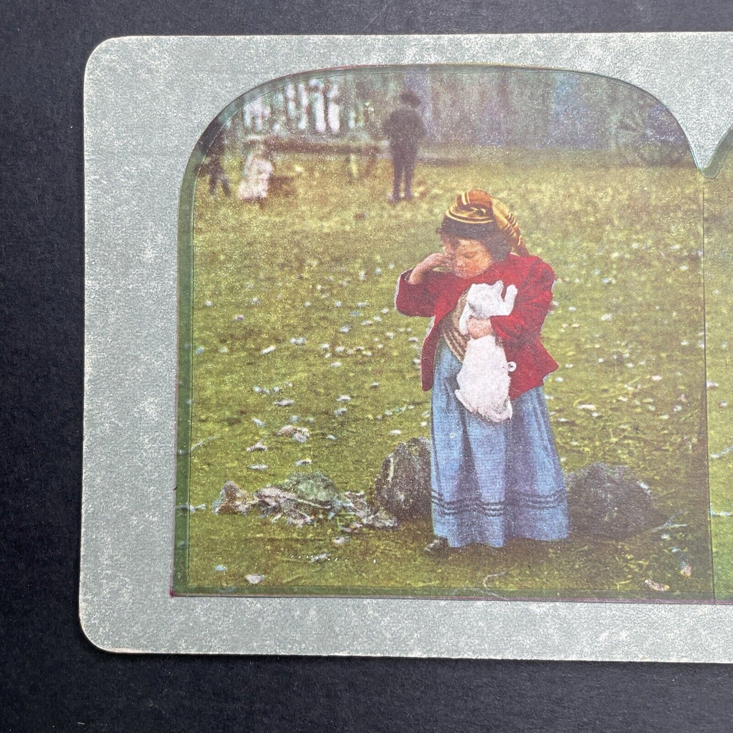 Antique 1892 Cat Scratches Child's Face Stereoview Photo Card P1222