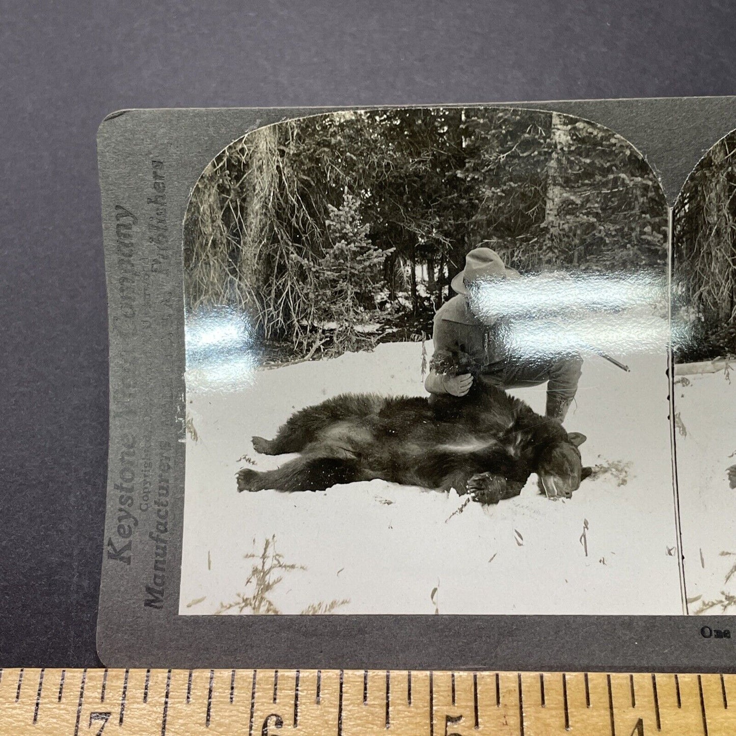 Antique 1913 Black Bear Killed Hunting In Wyoming Stereoview Photo Card P2316