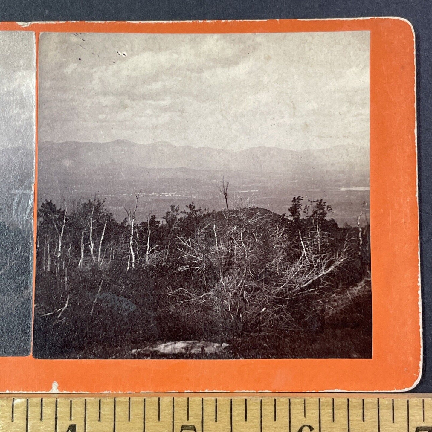 Center Sandwich Forest Fire Stereoview A.B. Hoag Photo Card Antique 1871 X892