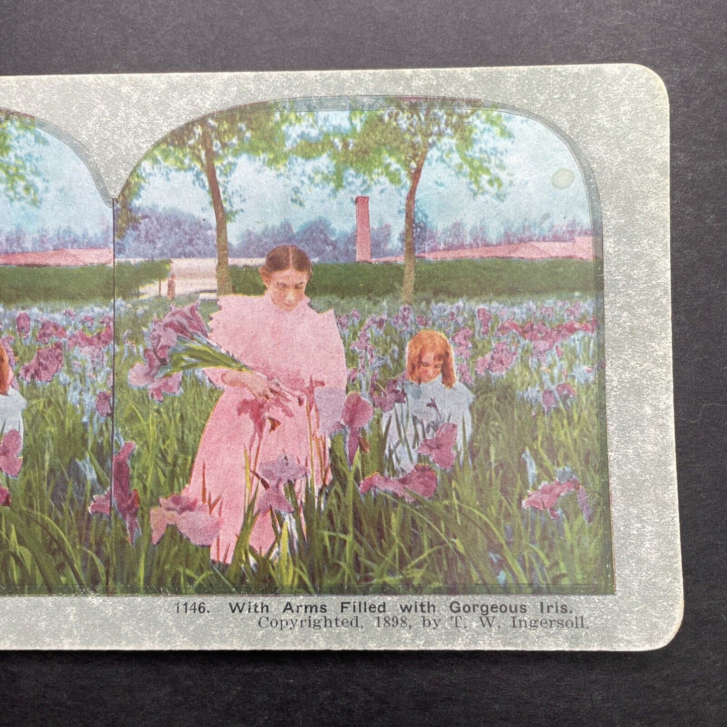 Antique 1898 Young Girls Picking Iris Flowers Stereoview Photo Card P580-047