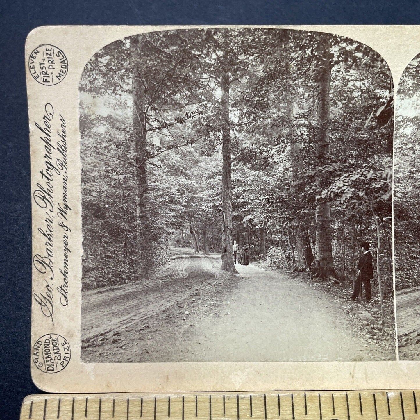 Antique 1880s Central Park Walk New York City Stereoview Photo Card P3476