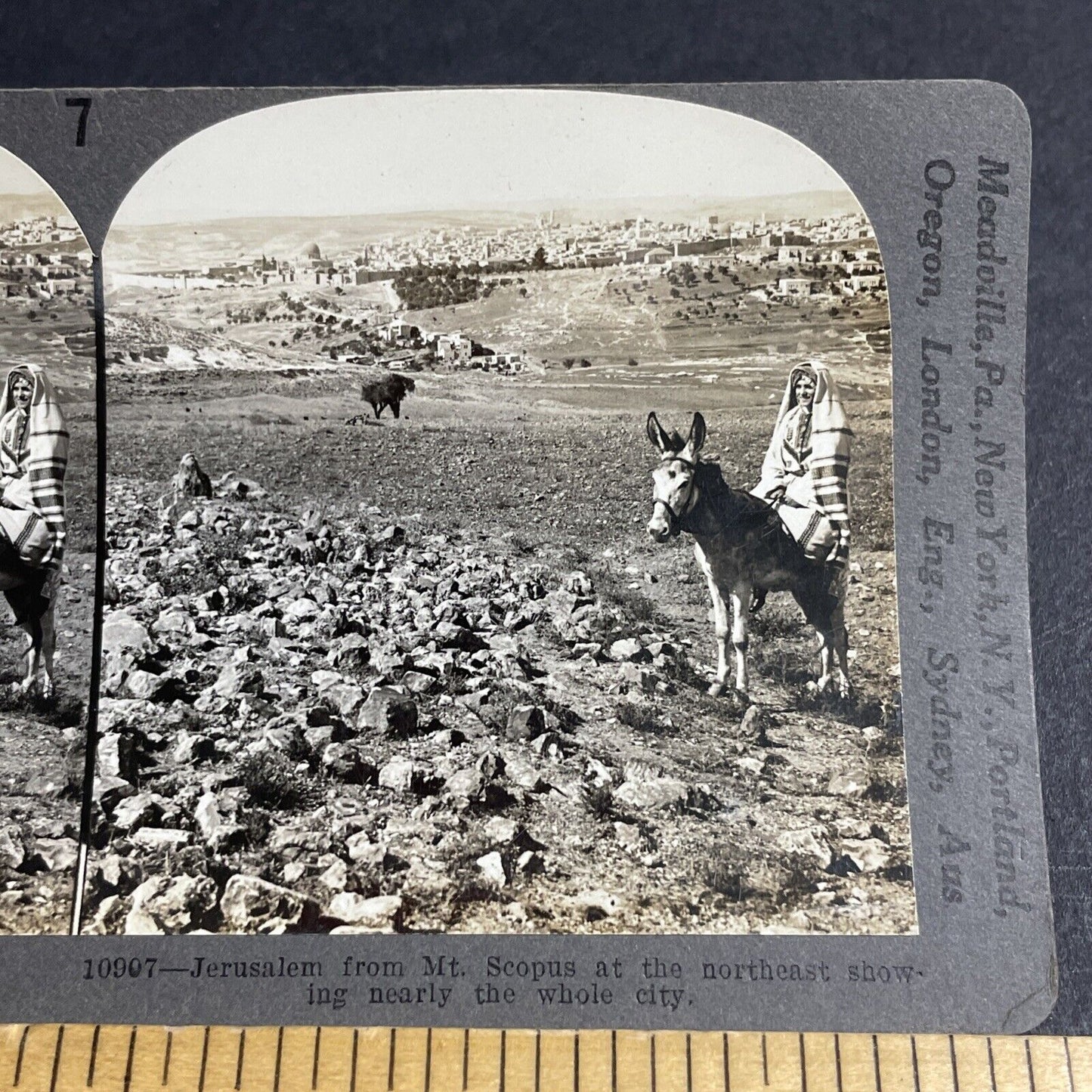 Antique 1910s Woman Riding Donkey Bareback Israel Stereoview Photo Card P4435