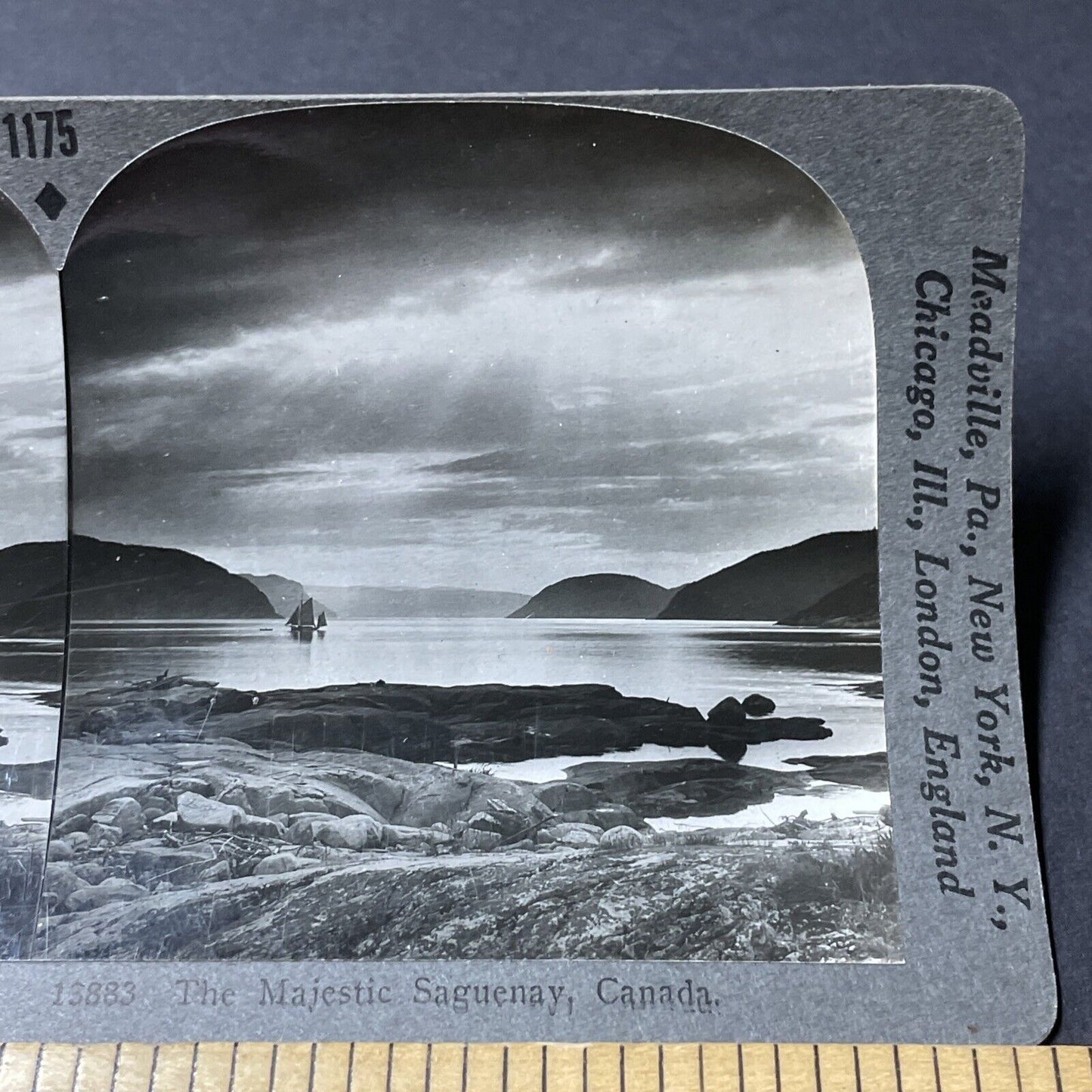 Antique 1910s Saguenay–St. Lawrence Marine Park QUE Stereoview Photo Card V2621