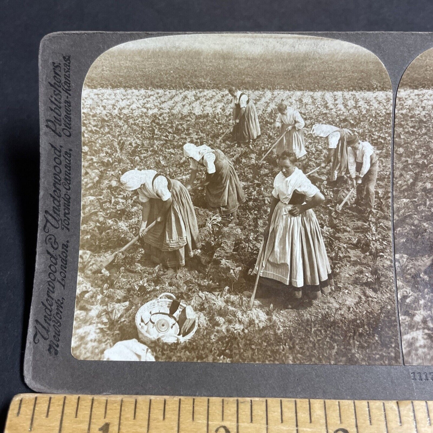 Antique 1900 Traditional Saxony Women Farmers Stereoview Photo Card P4472