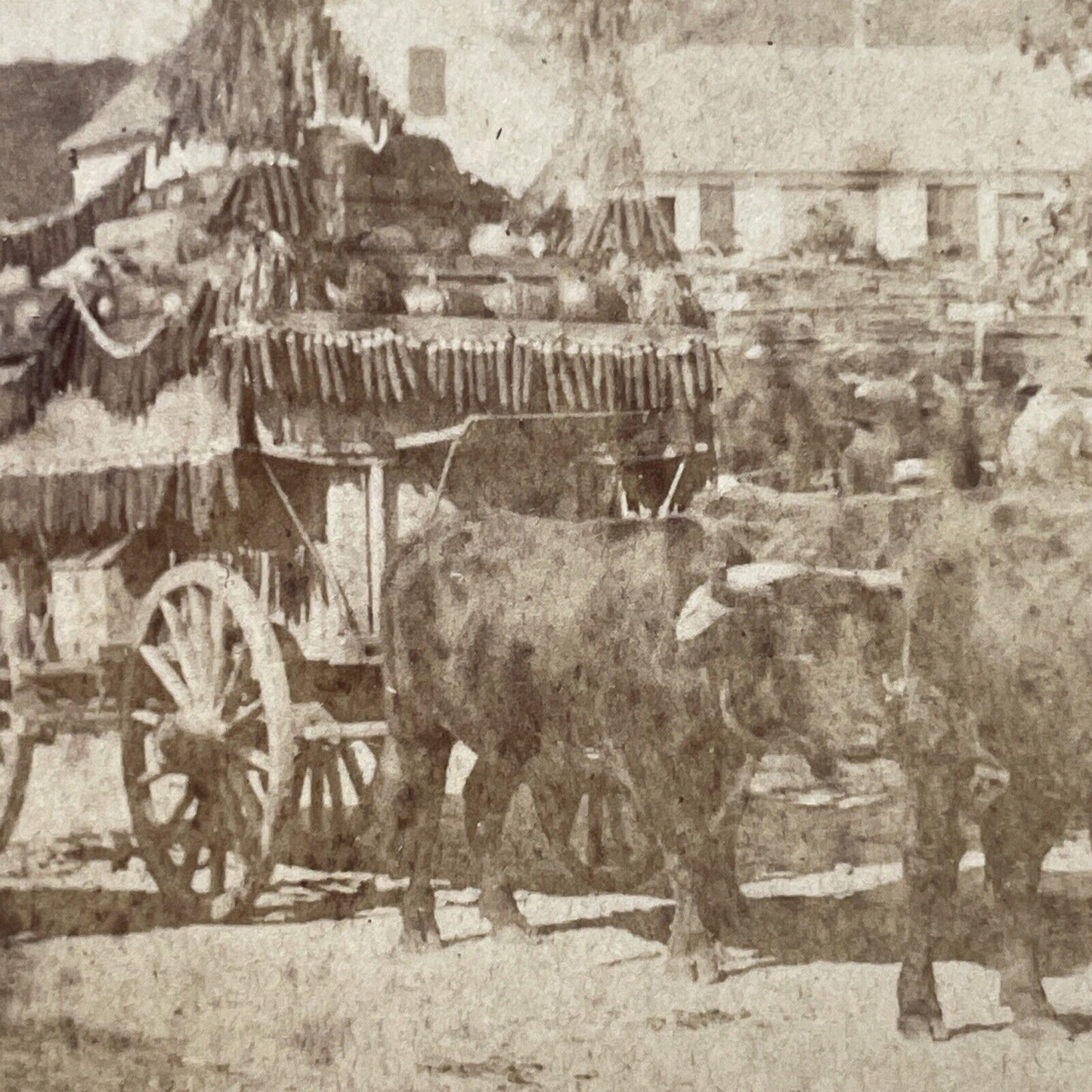 Antique 1878 'The Freak Wagon' Marlow Town Fair NH Stereoview Photo Card V2057